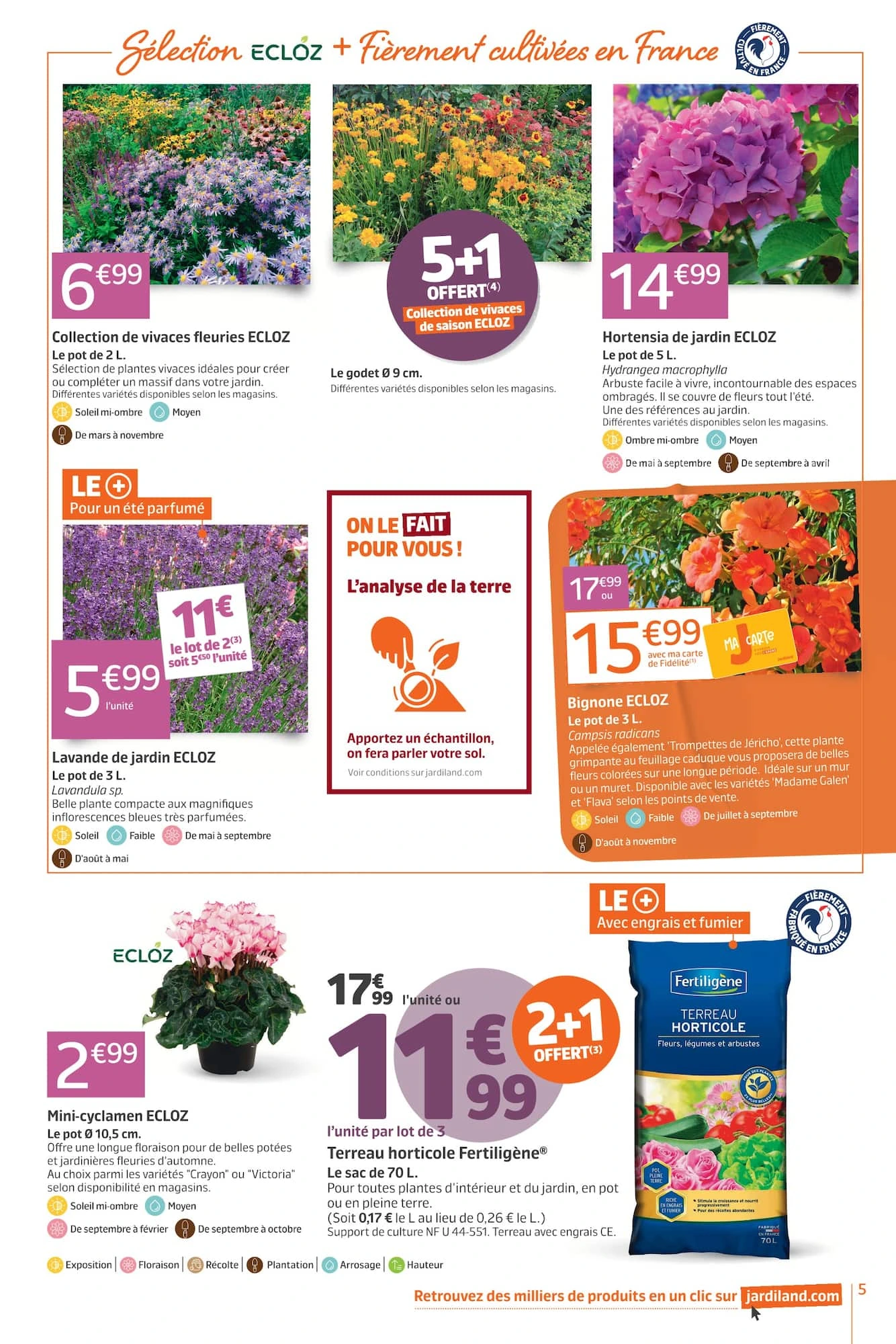 Flyer page 5