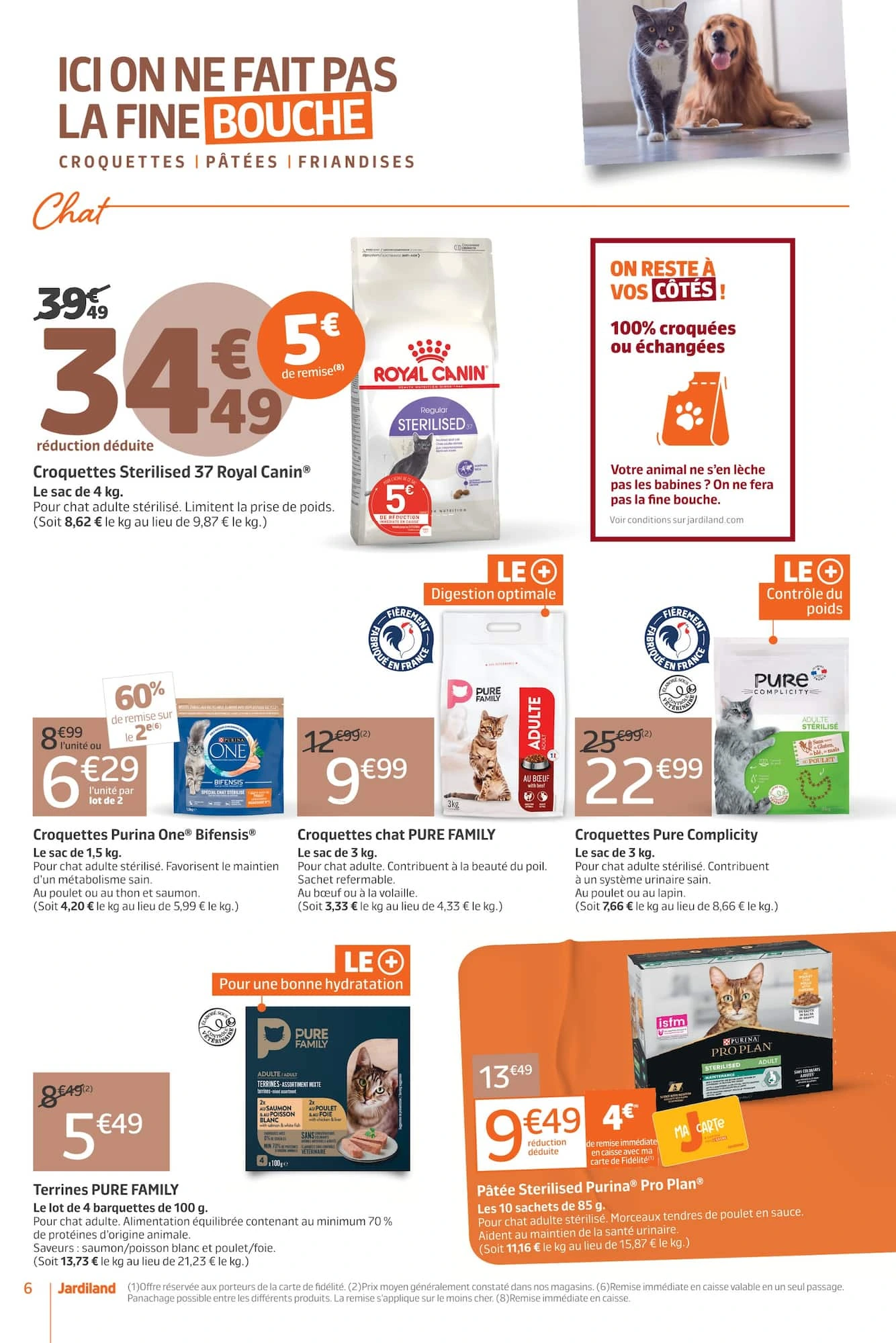 Flyer page 6