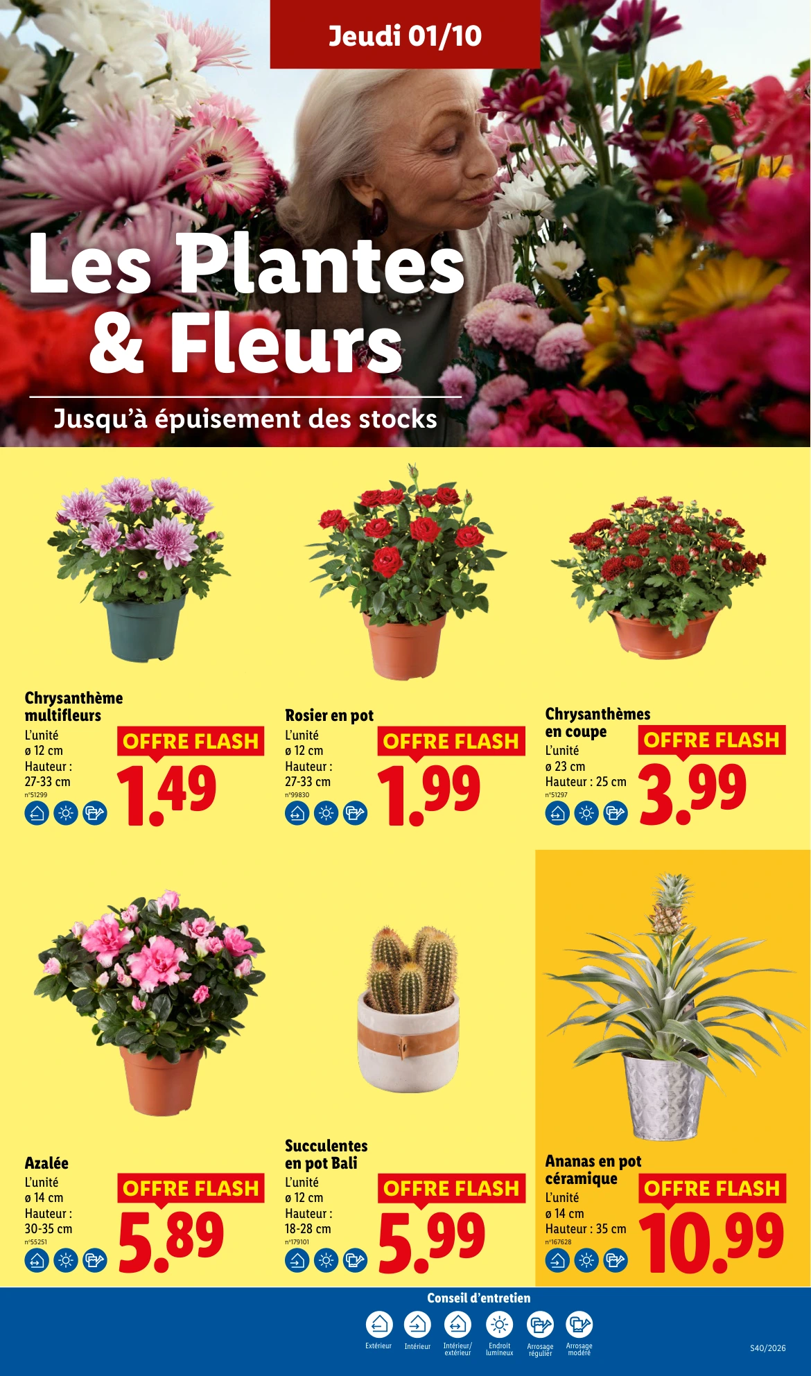 Flyer page 29