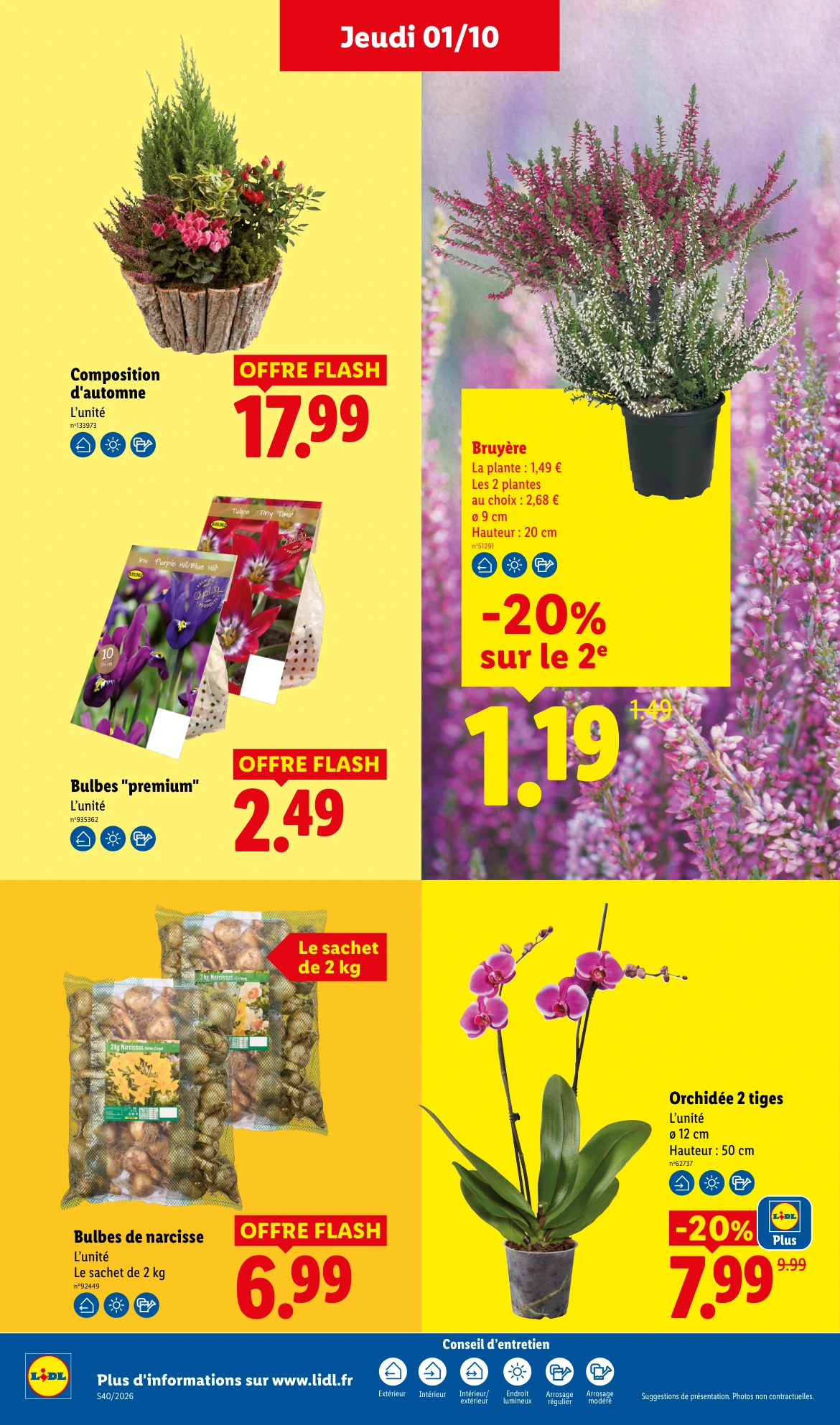 Flyer page 30