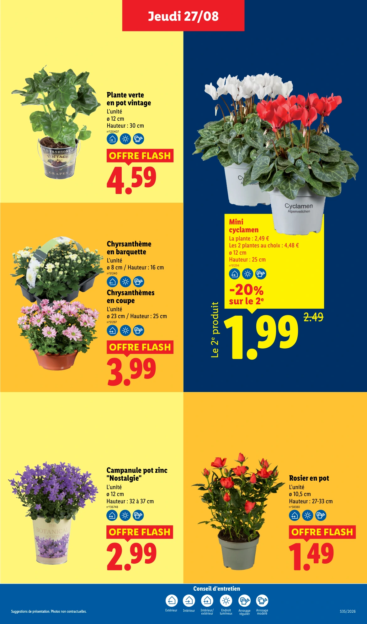 Flyer page 29
