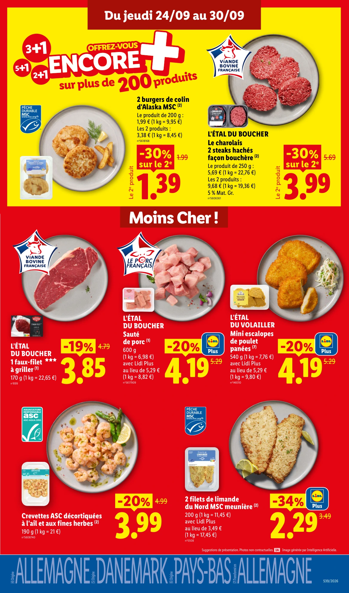 Flyer page 11