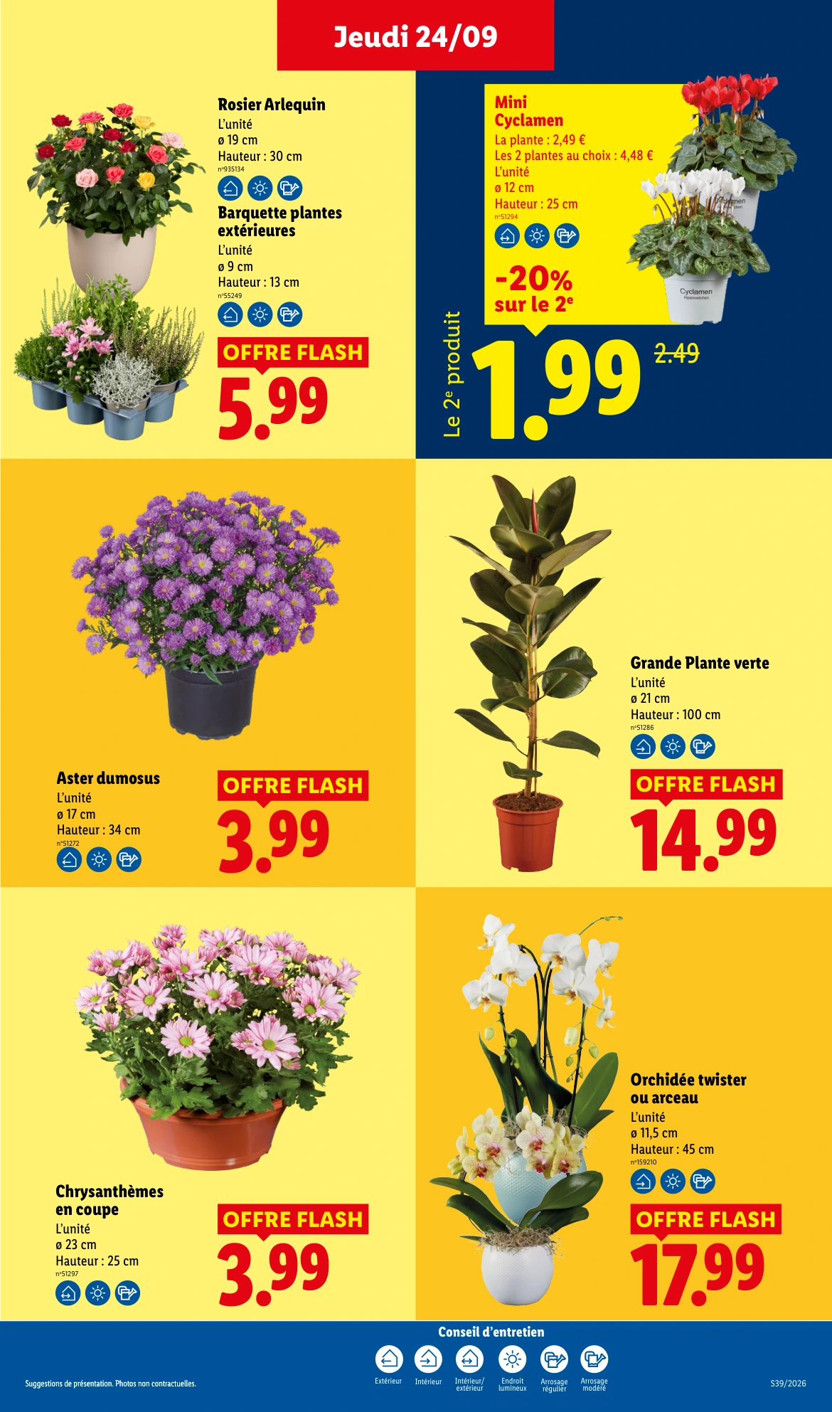 Flyer page 29