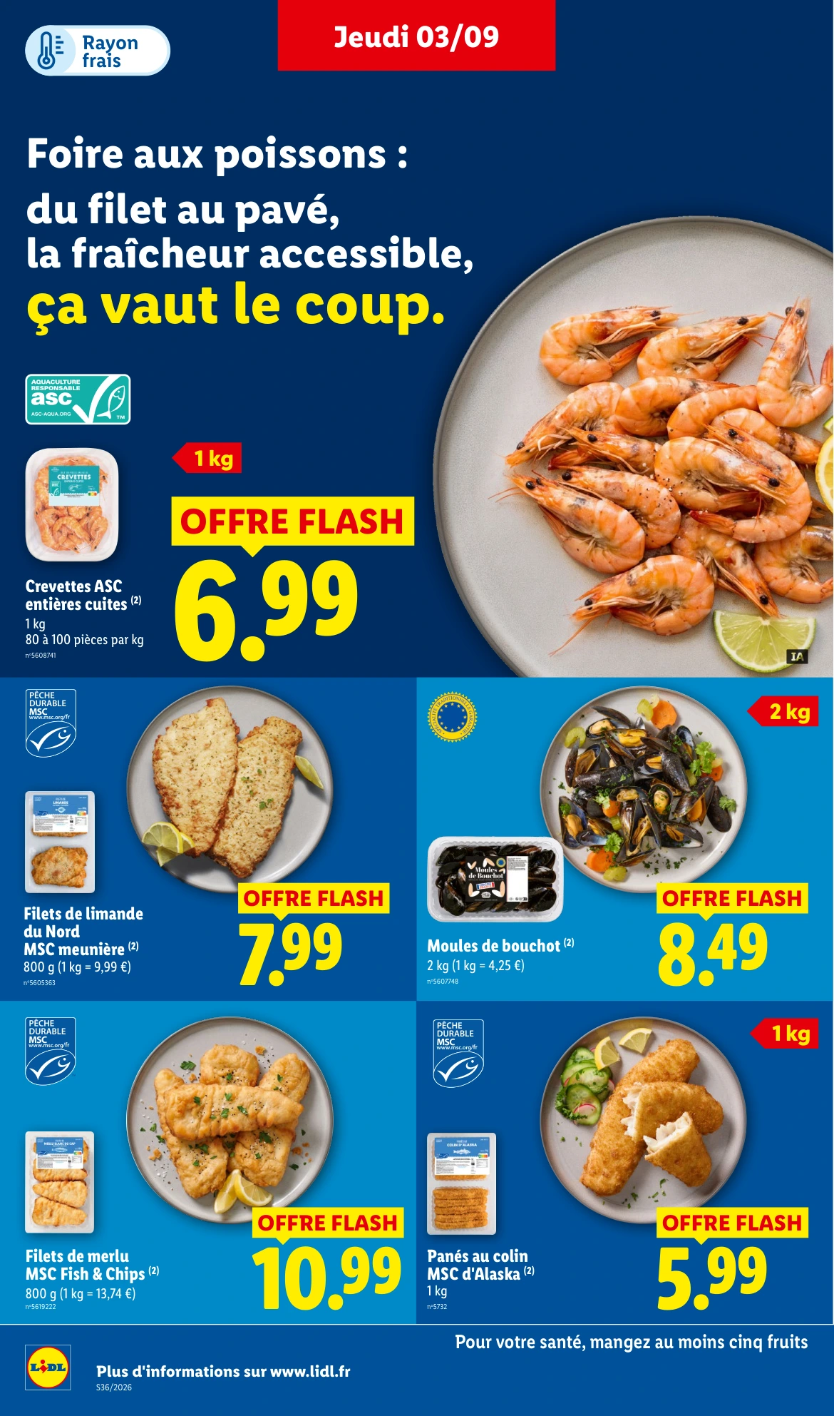 Flyer page 10