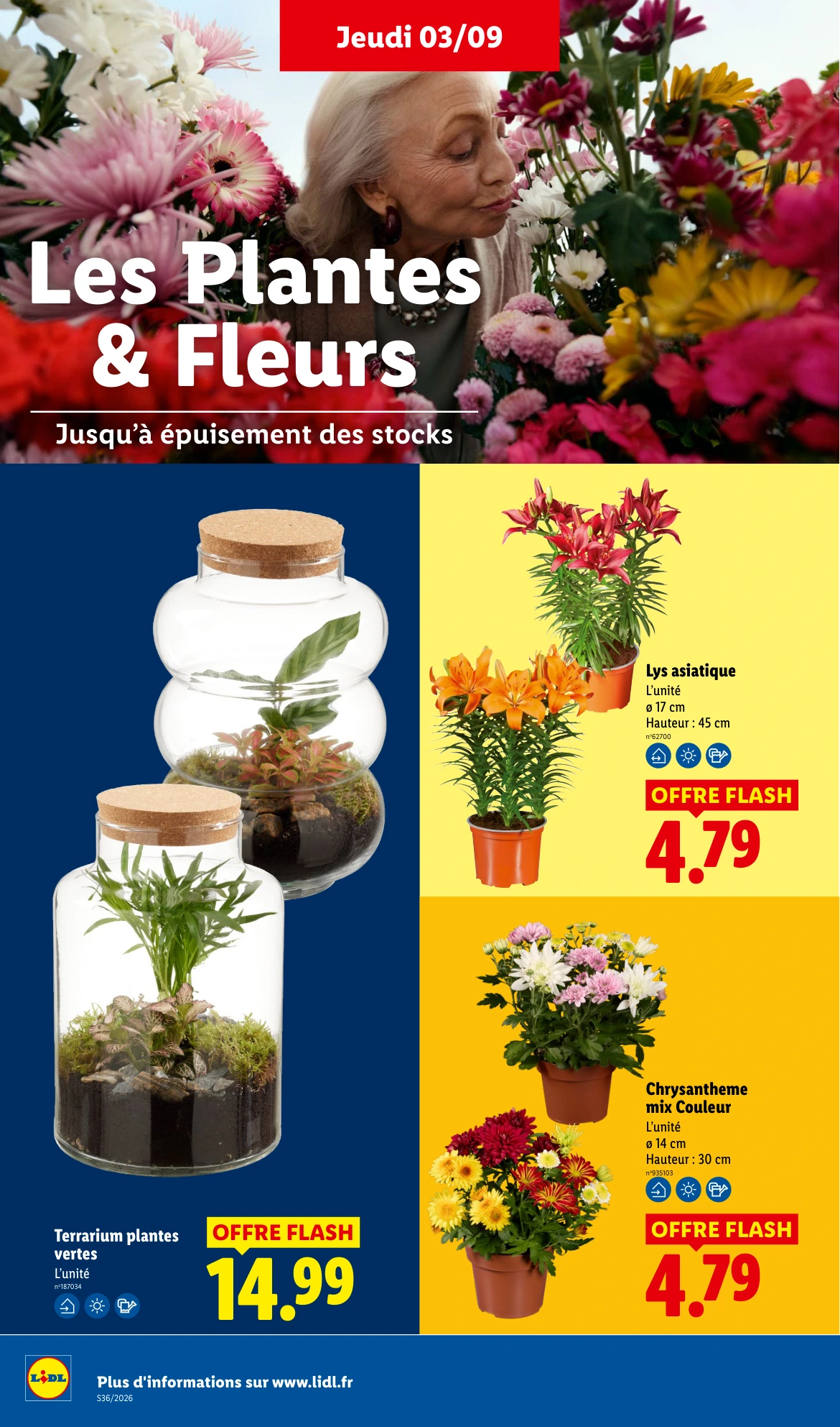Flyer page 34