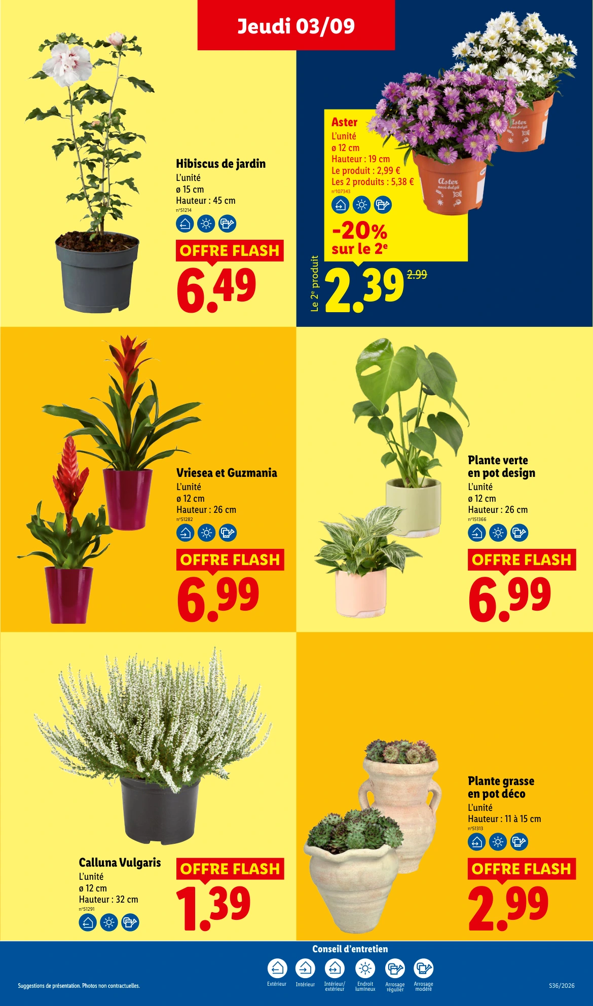 Flyer page 35