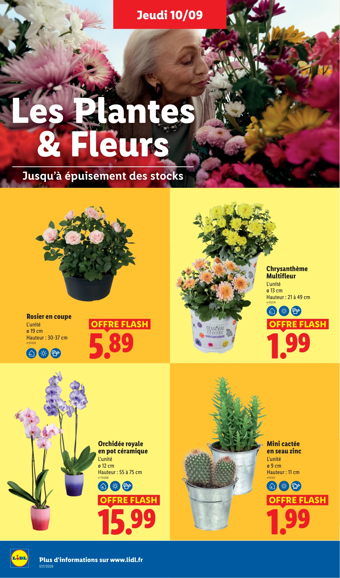 Flyer page 48
