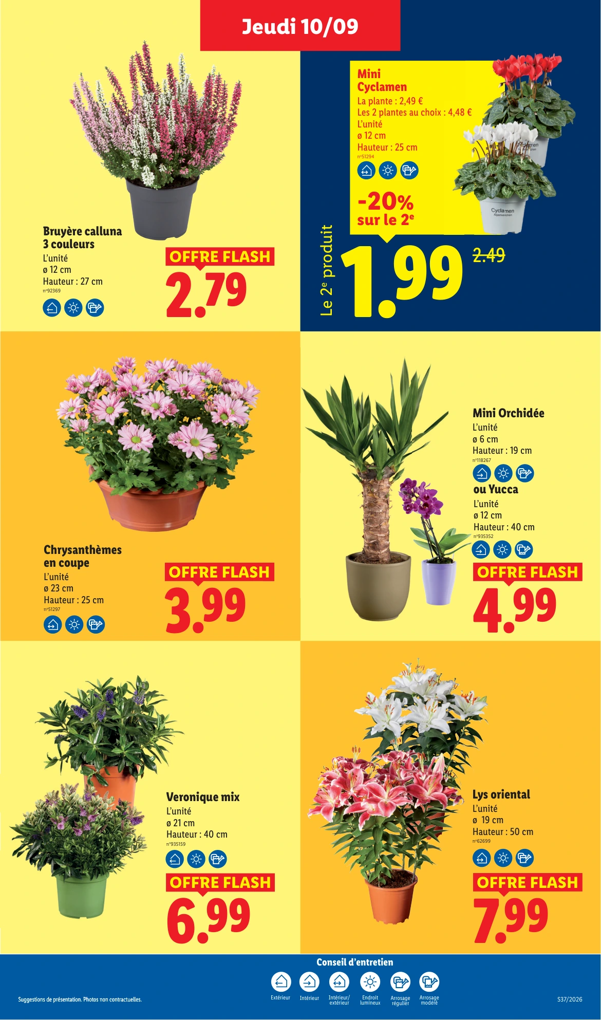 Flyer page 49