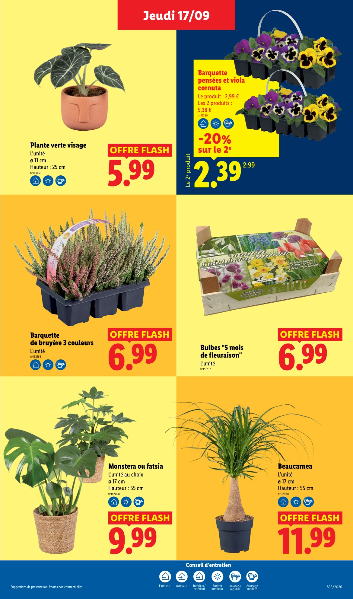 Flyer page 29
