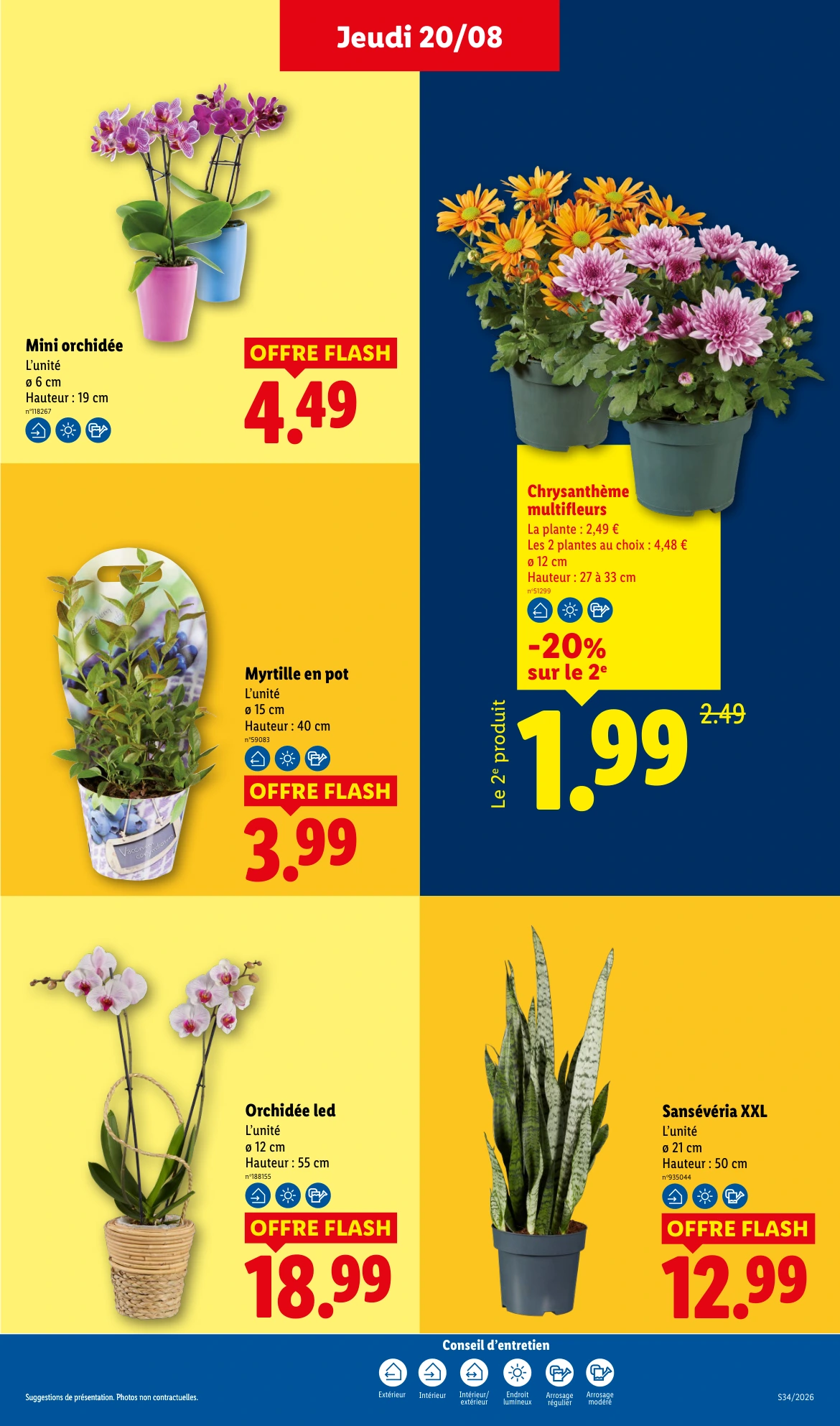 Flyer page 29