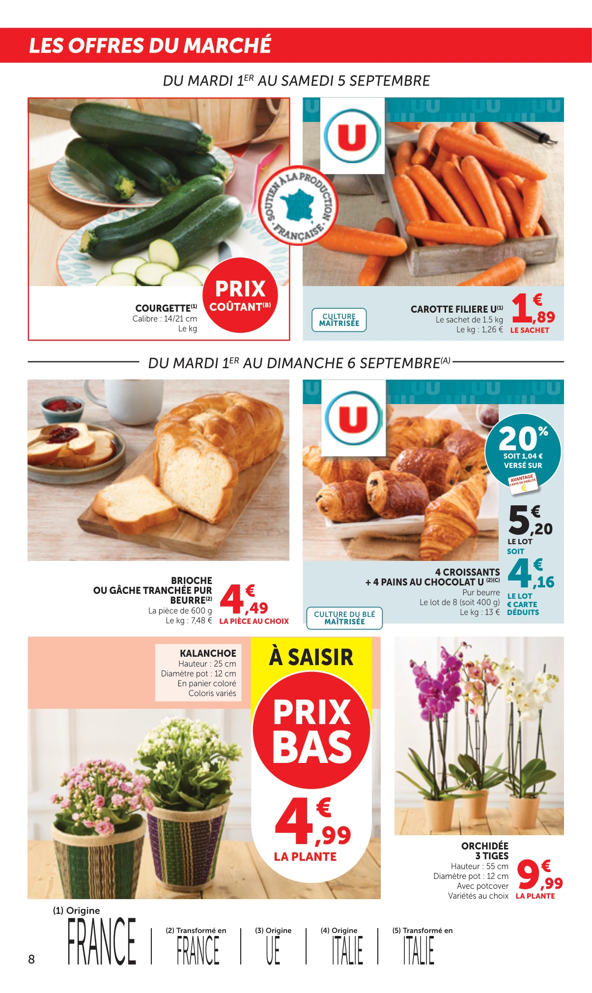 Flyer page 8