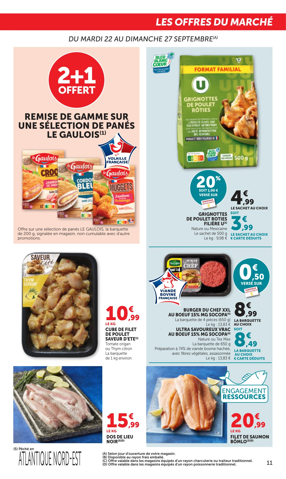 Flyer page 11