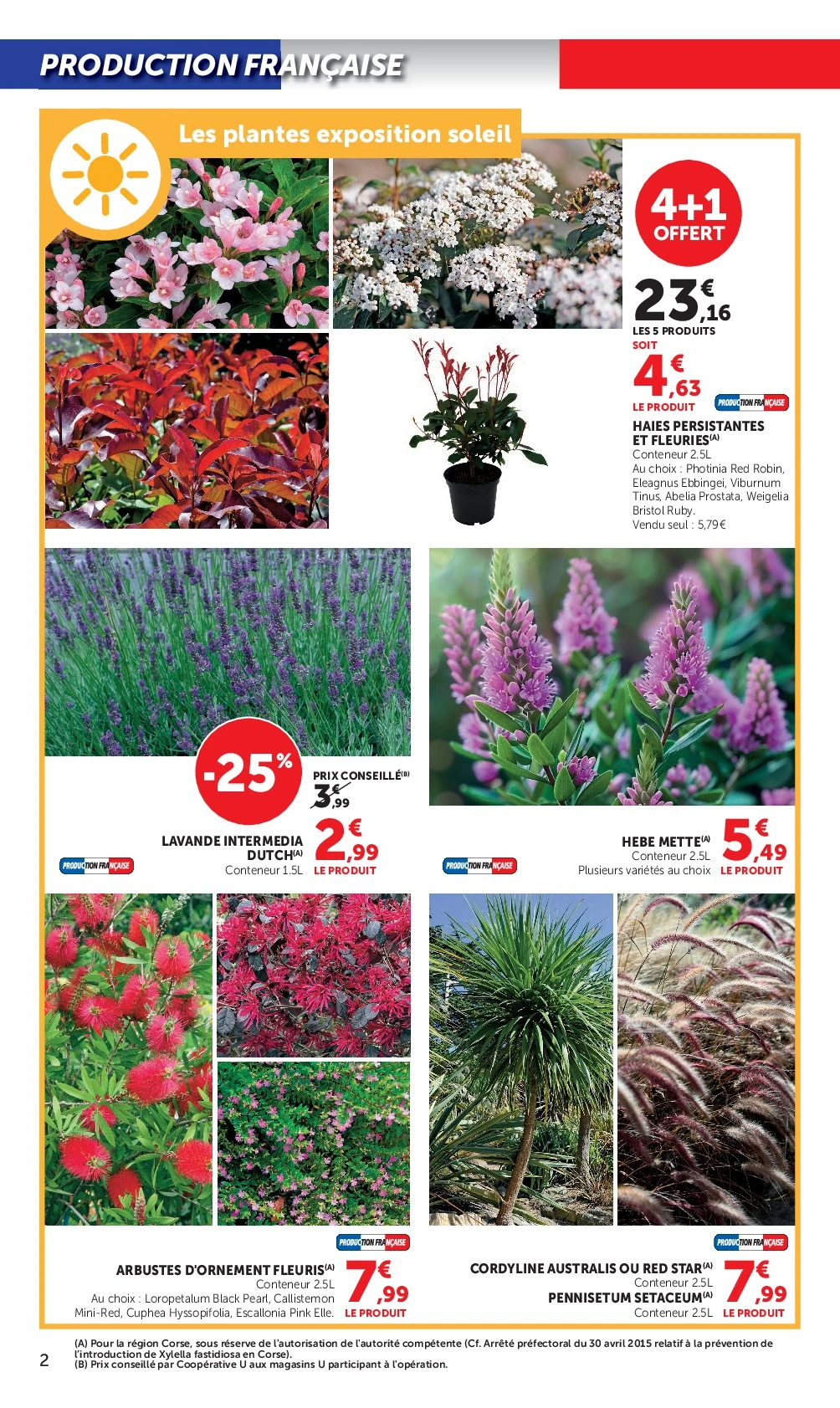 Flyer page 2