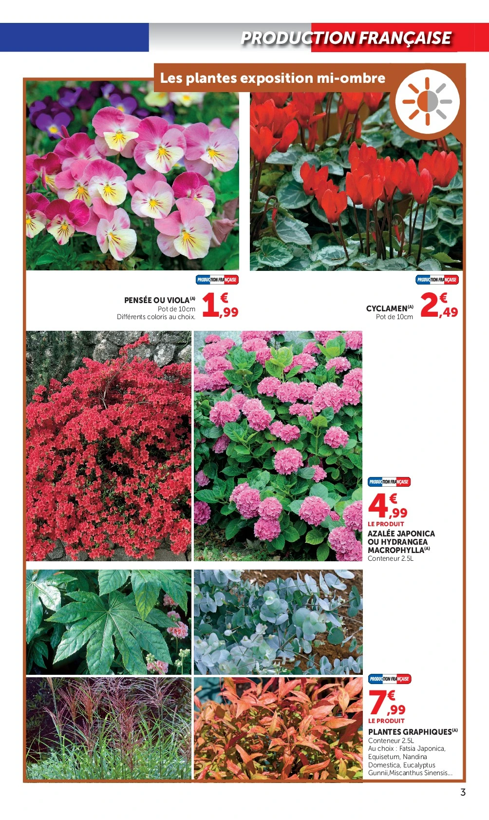 Flyer page 3
