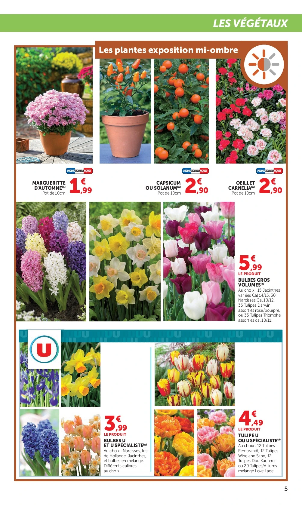 Flyer page 5