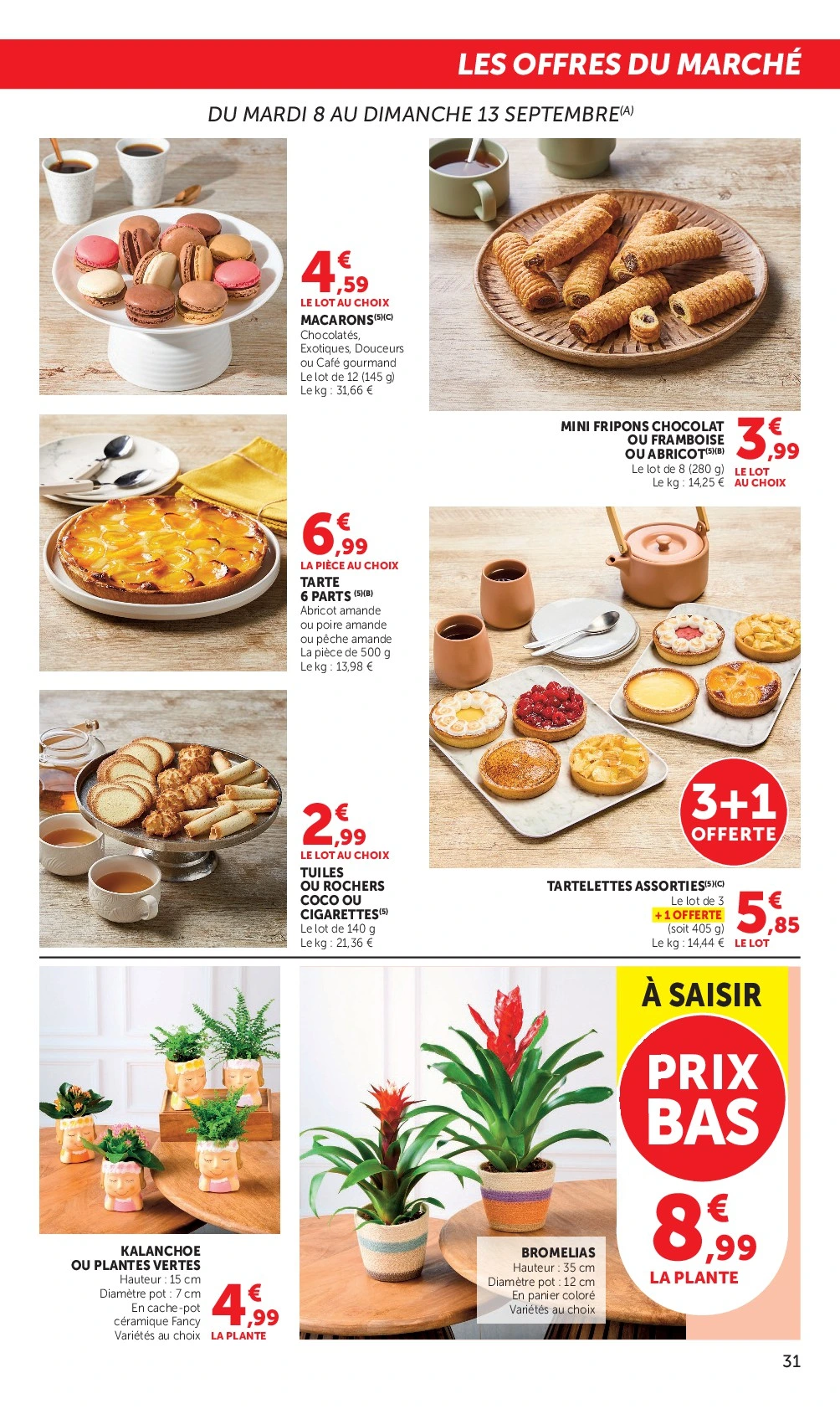 Flyer page 31