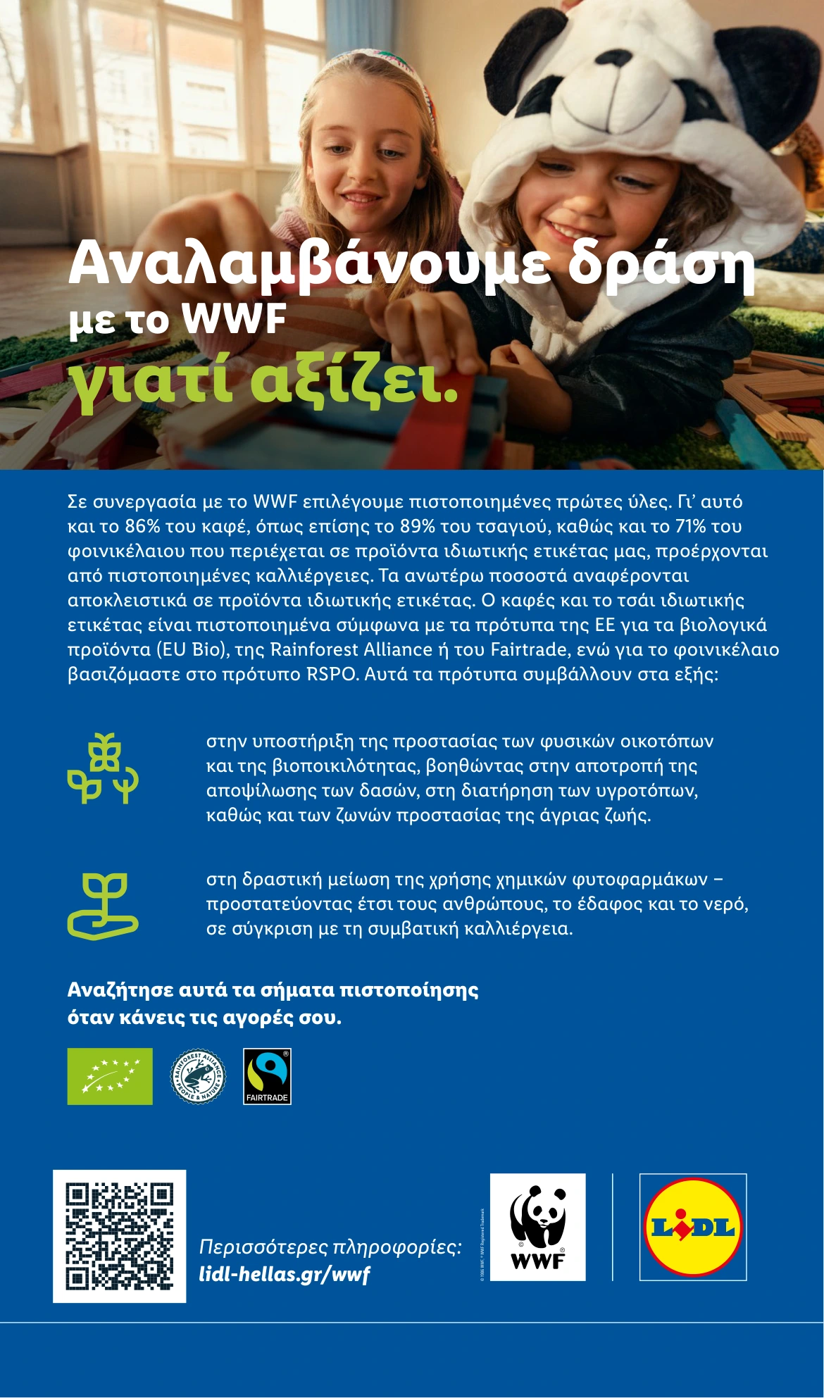 Flyer page 29