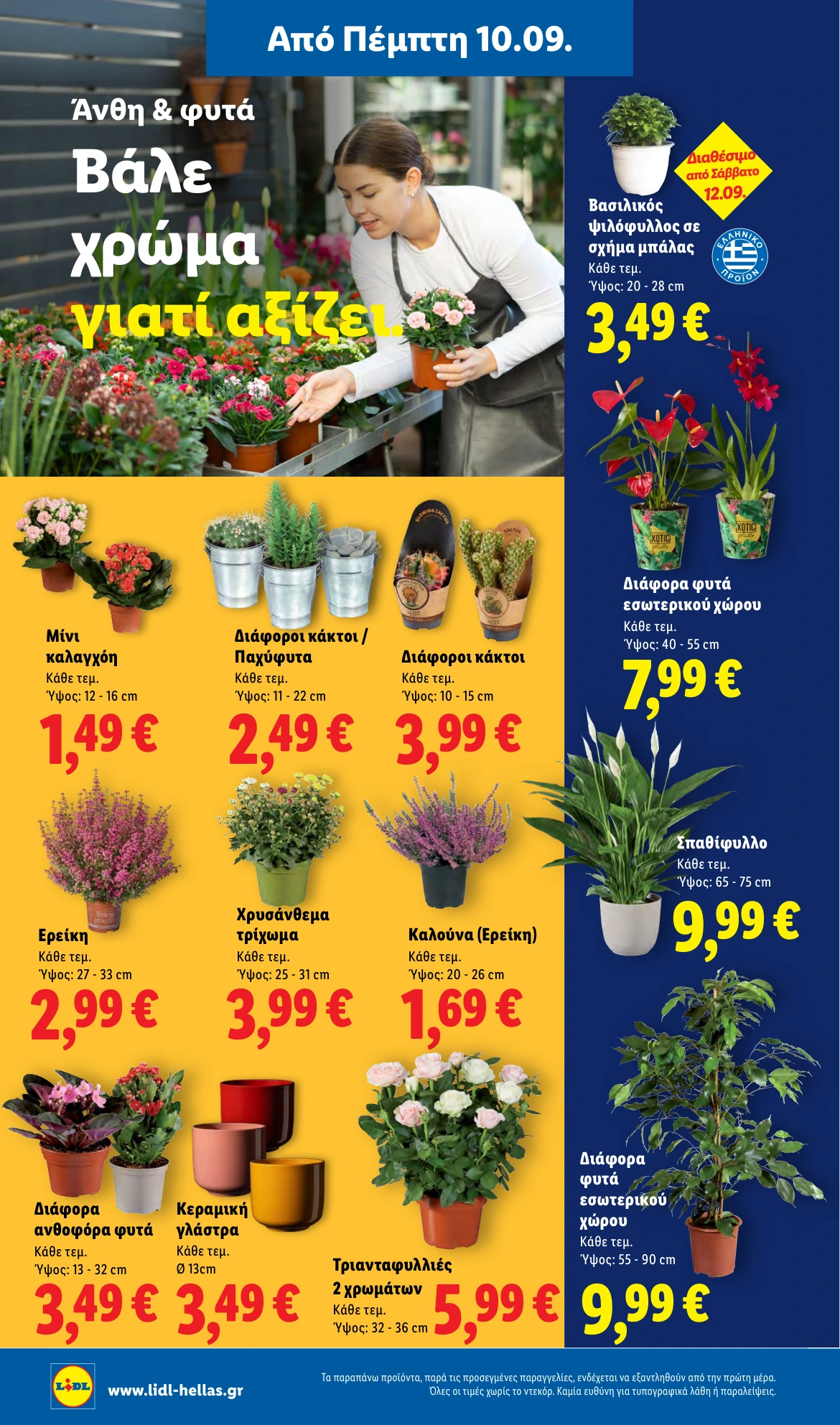 Flyer page 38