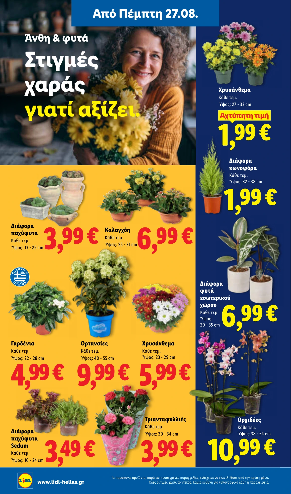 Flyer page 46