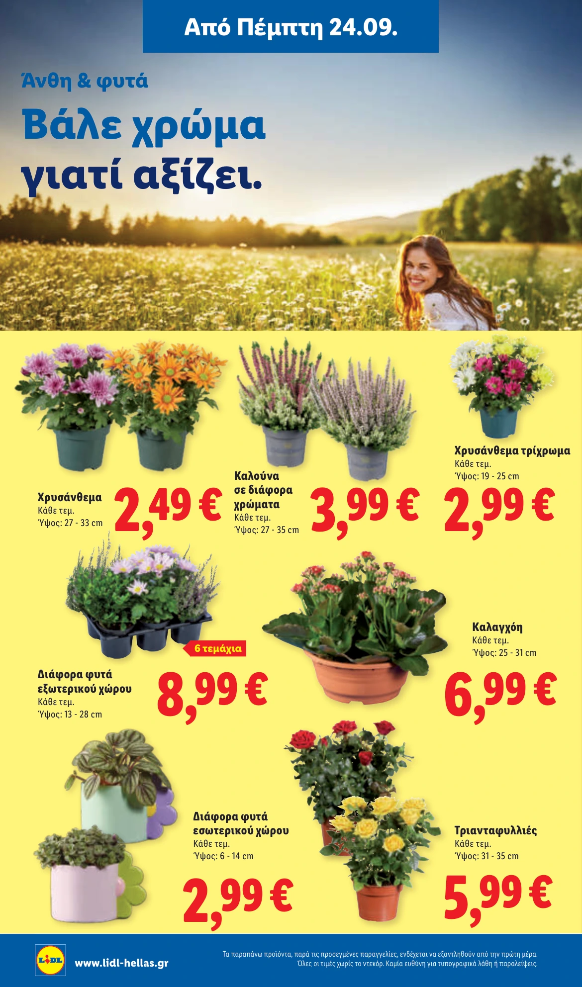Flyer page 42