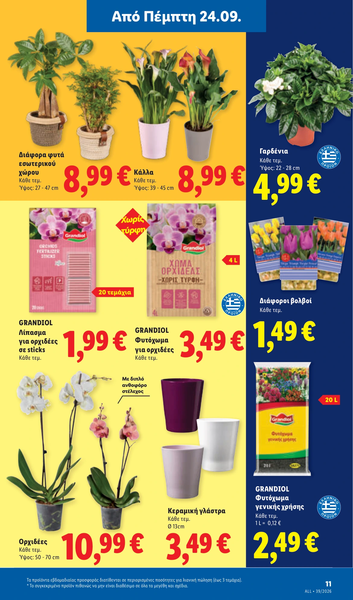 Flyer page 43