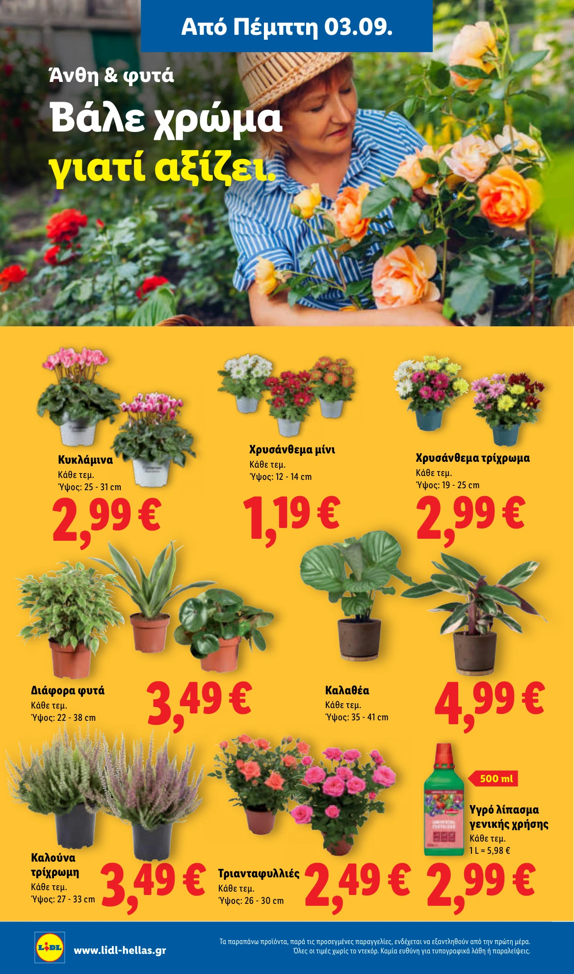 Flyer page 46