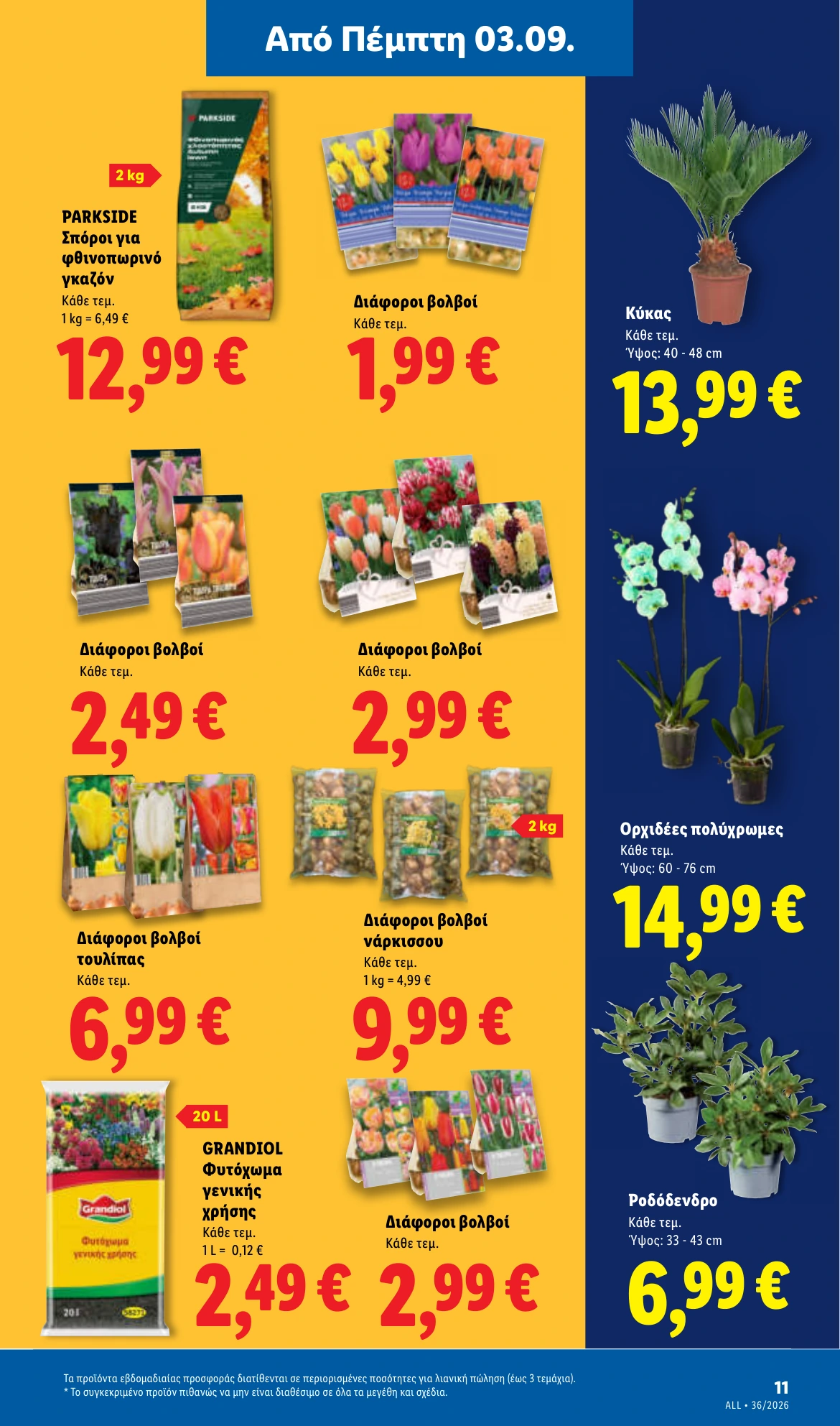 Flyer page 47
