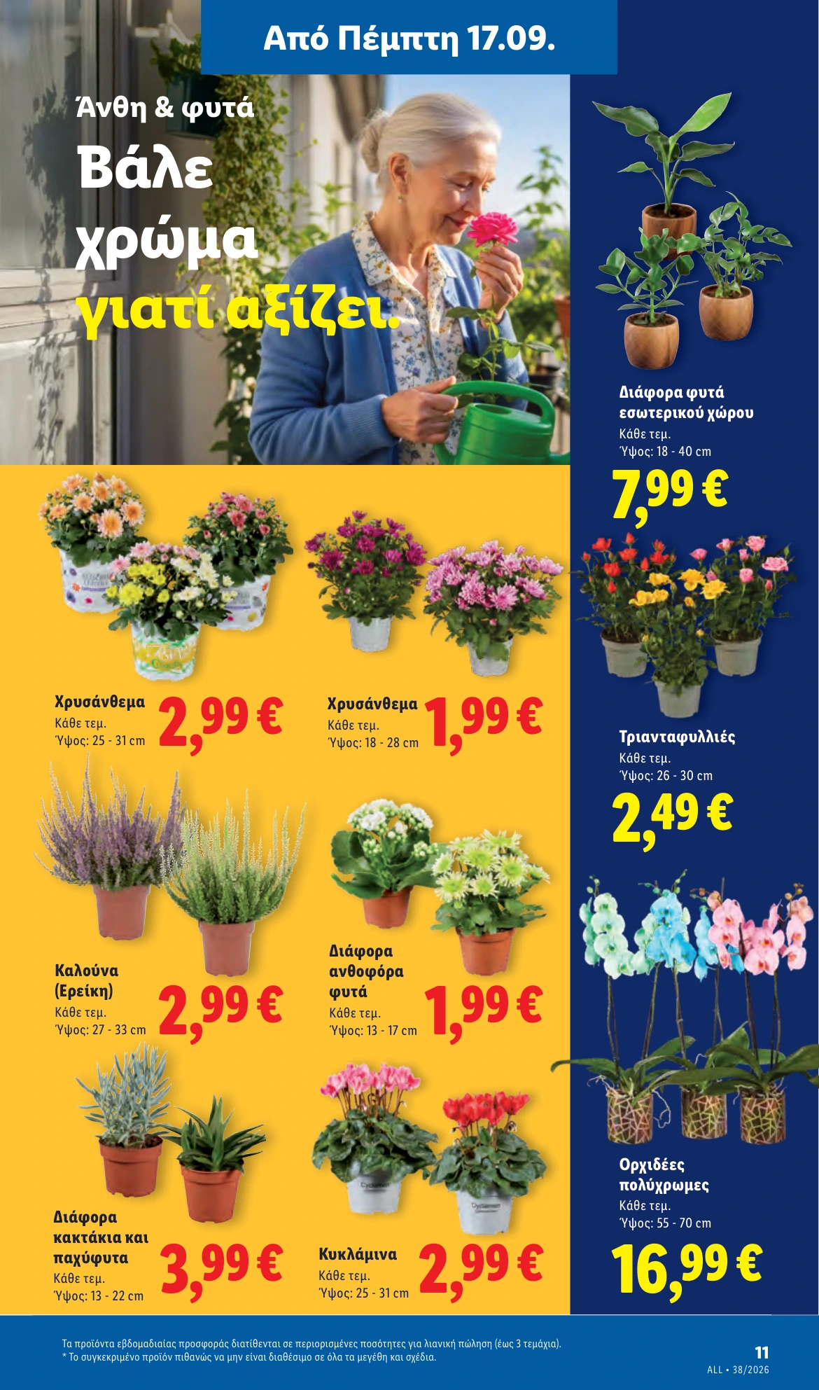 Flyer page 41