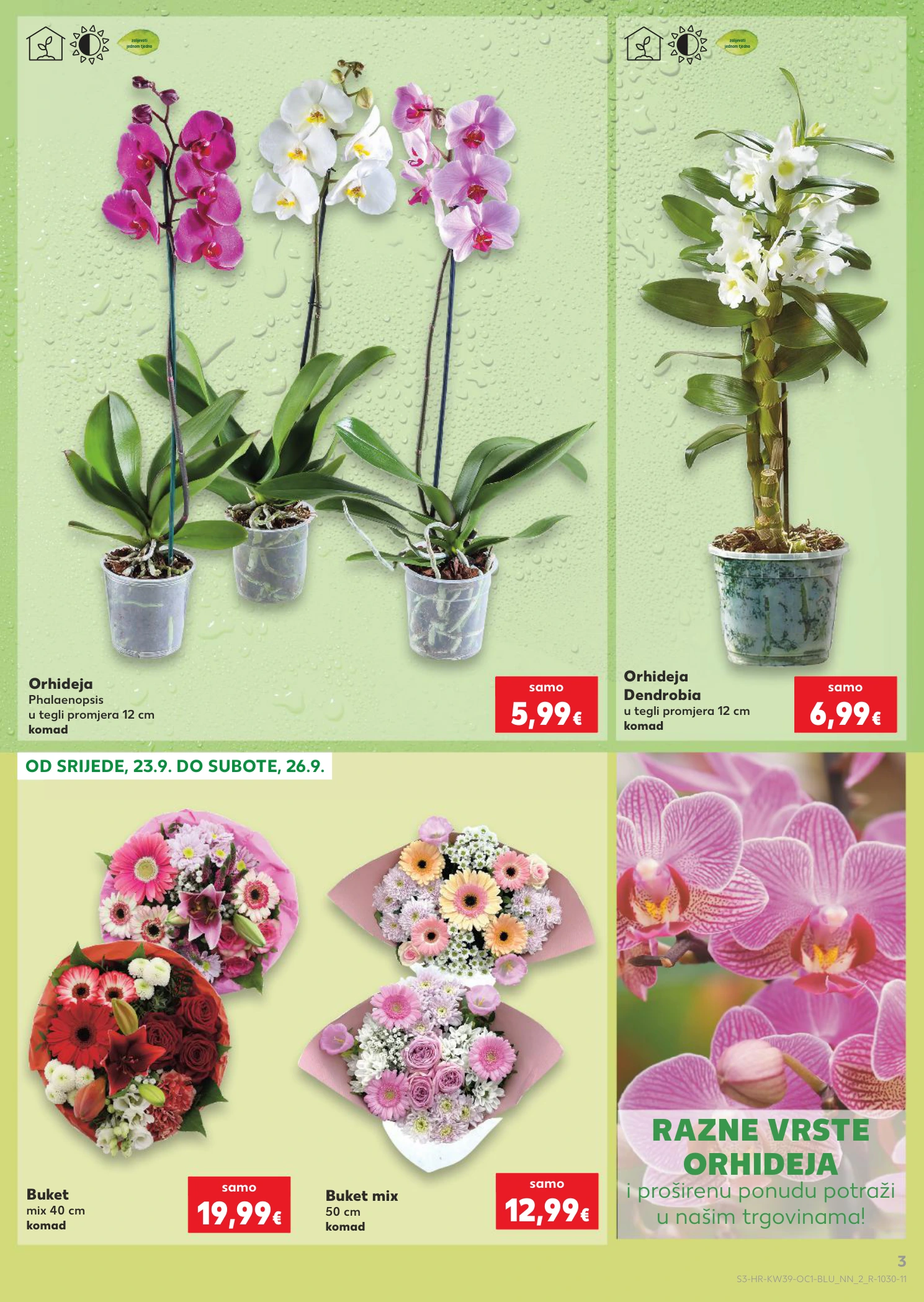 Flyer page 3