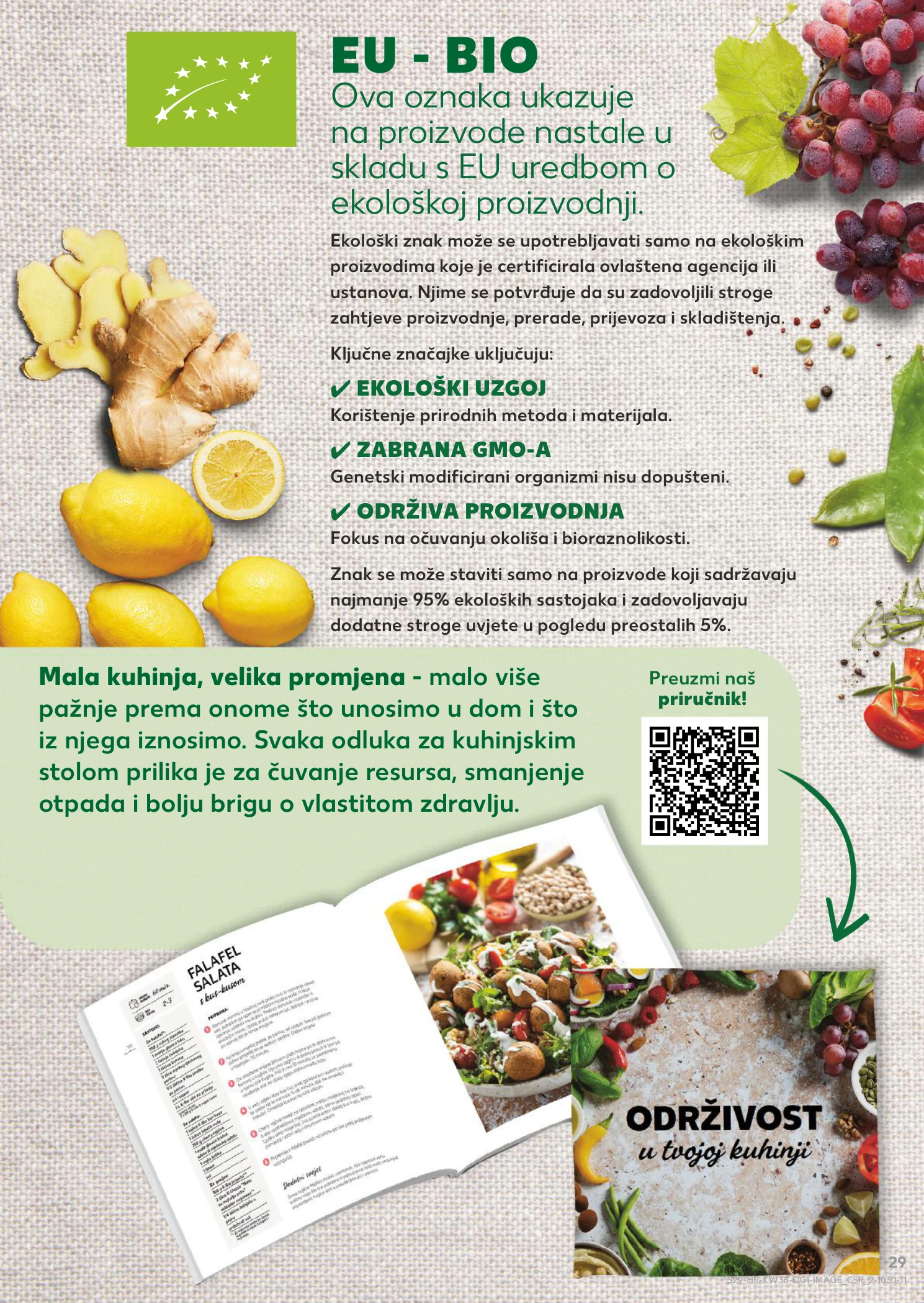 Flyer page 29