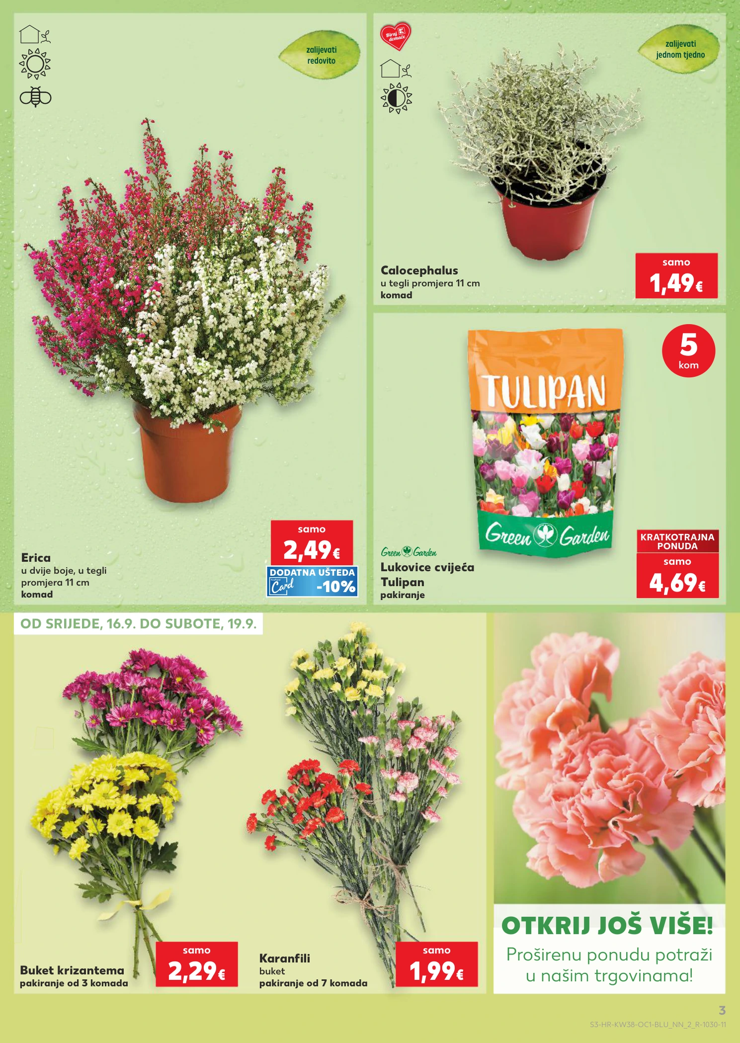 Flyer page 3