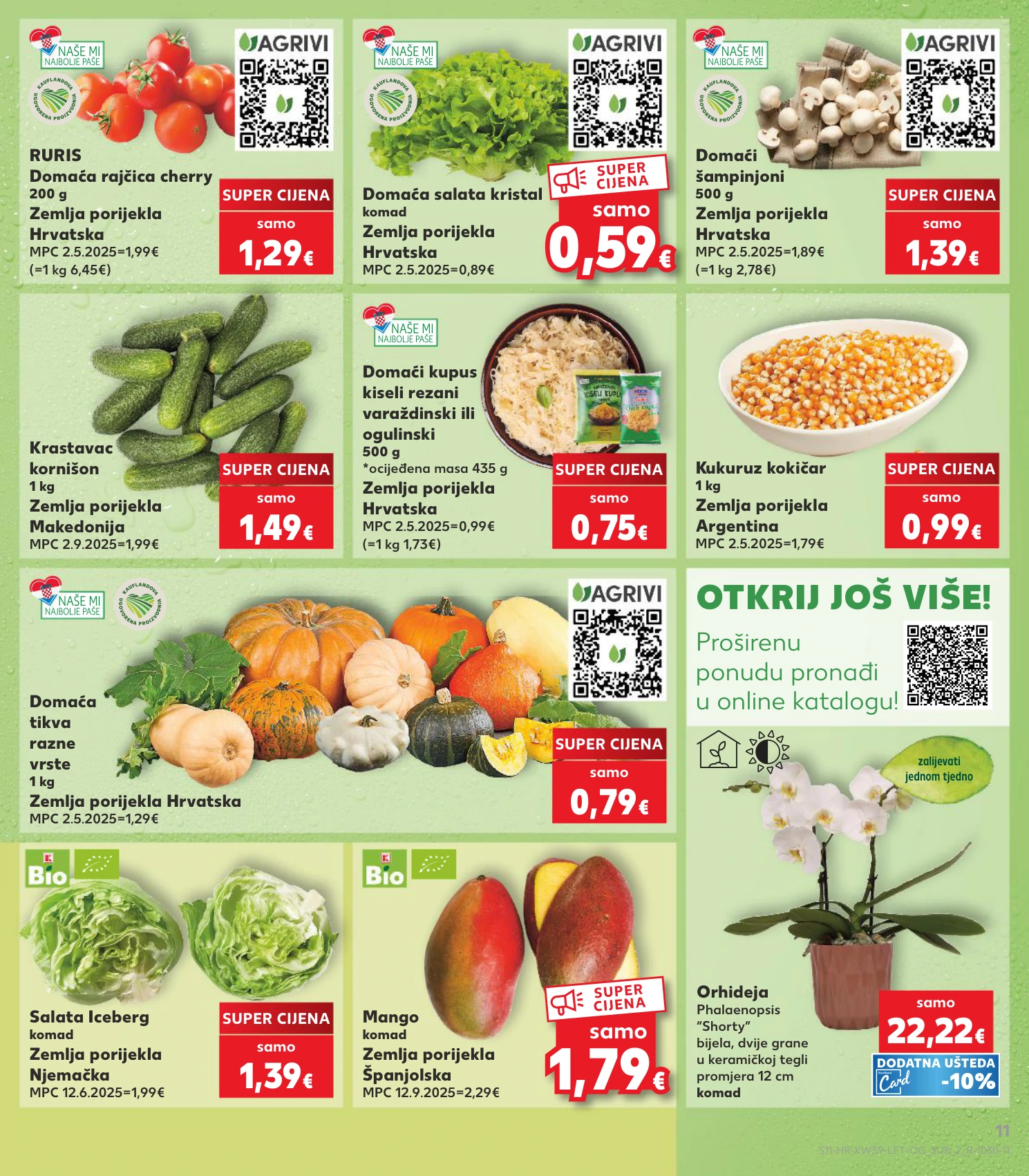 Flyer page 11