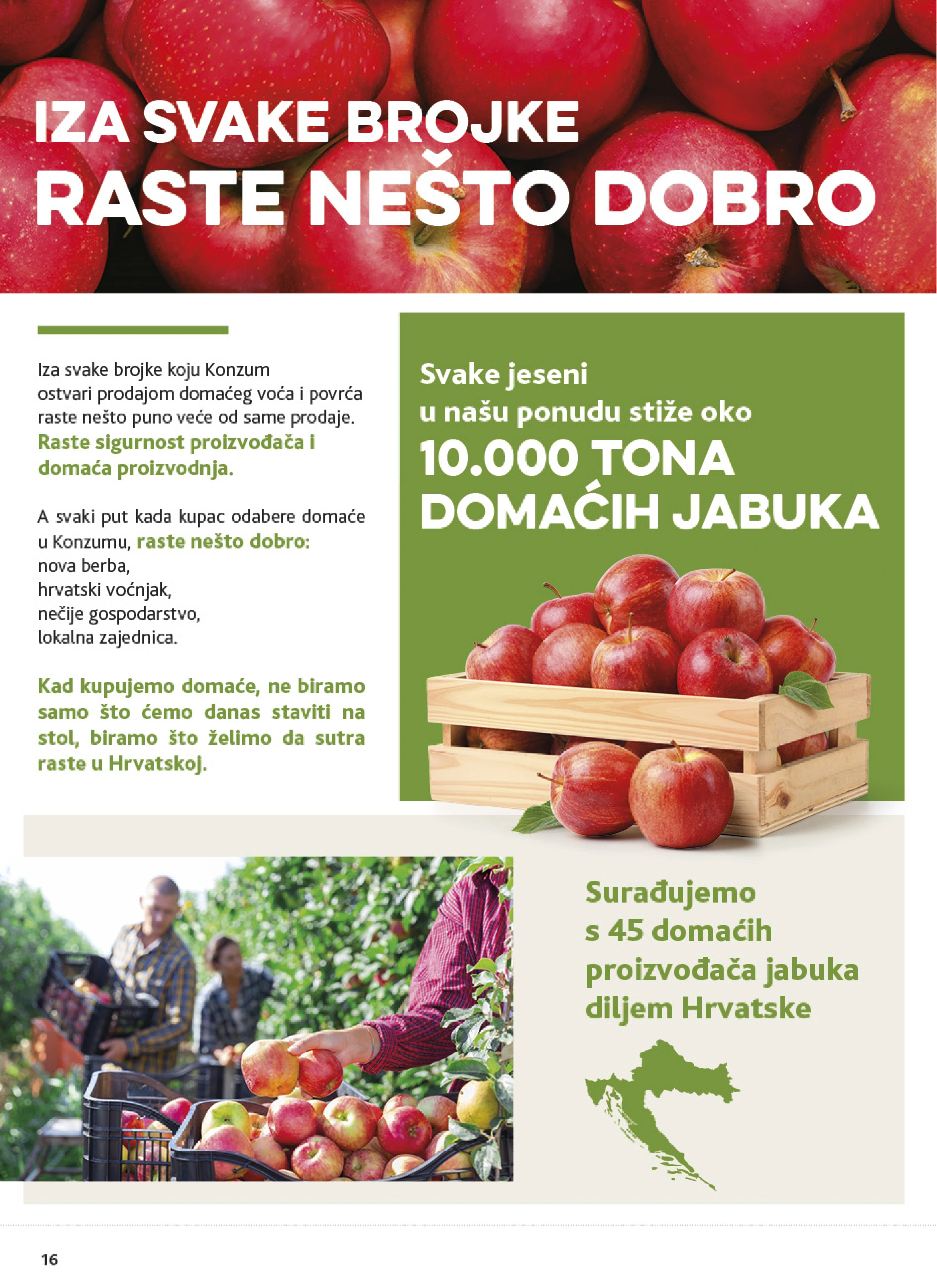 Flyer page 16