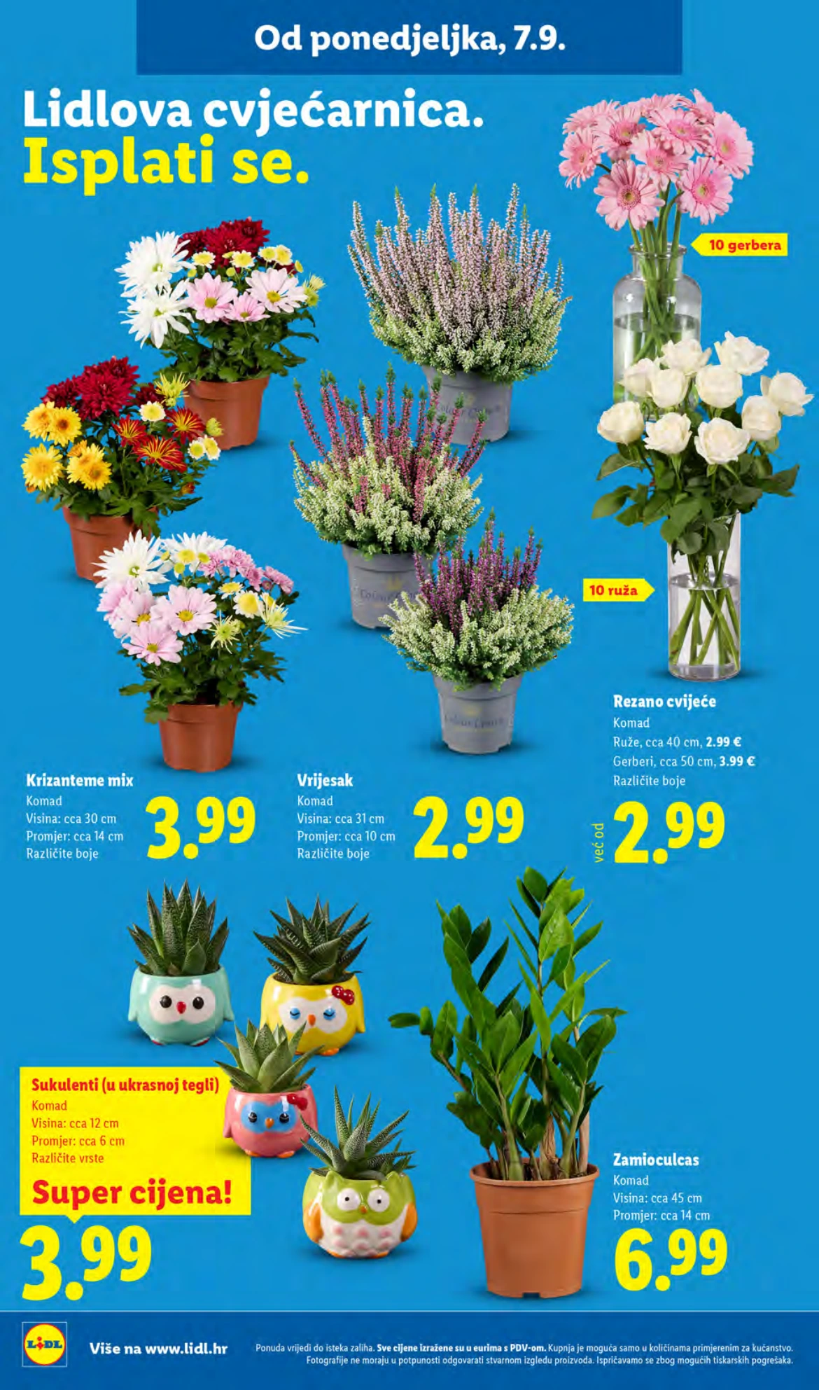 Flyer page 60