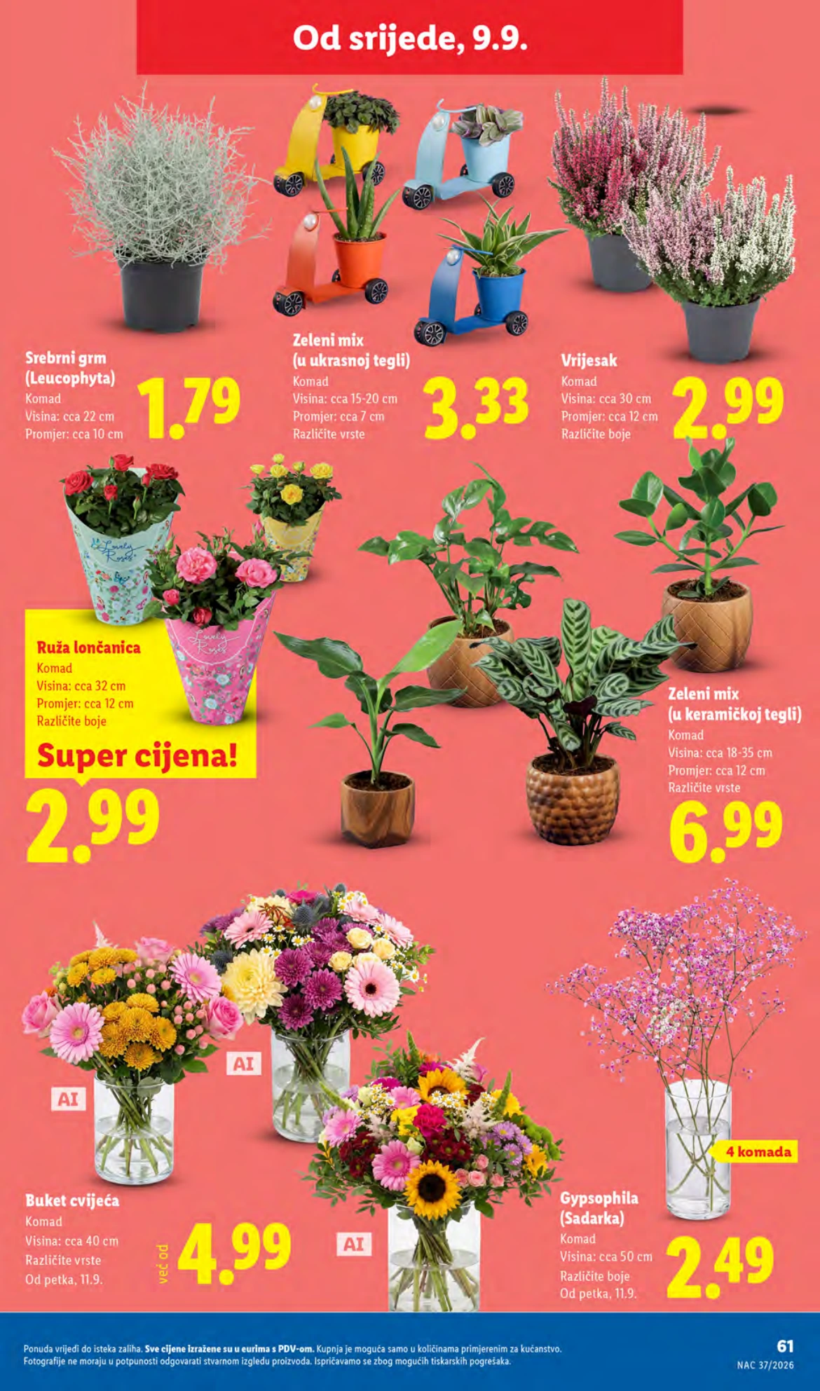 Flyer page 61