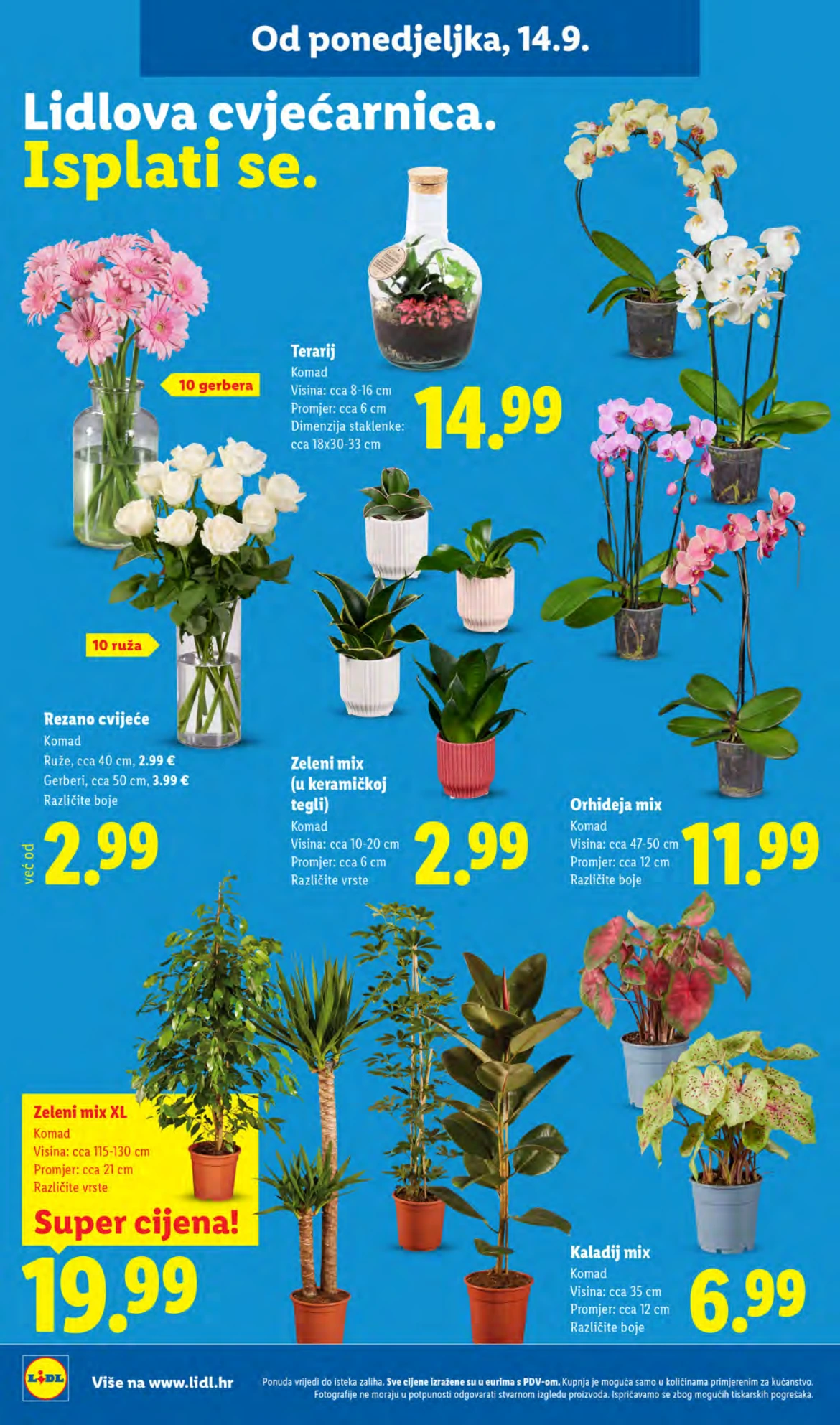Flyer page 52