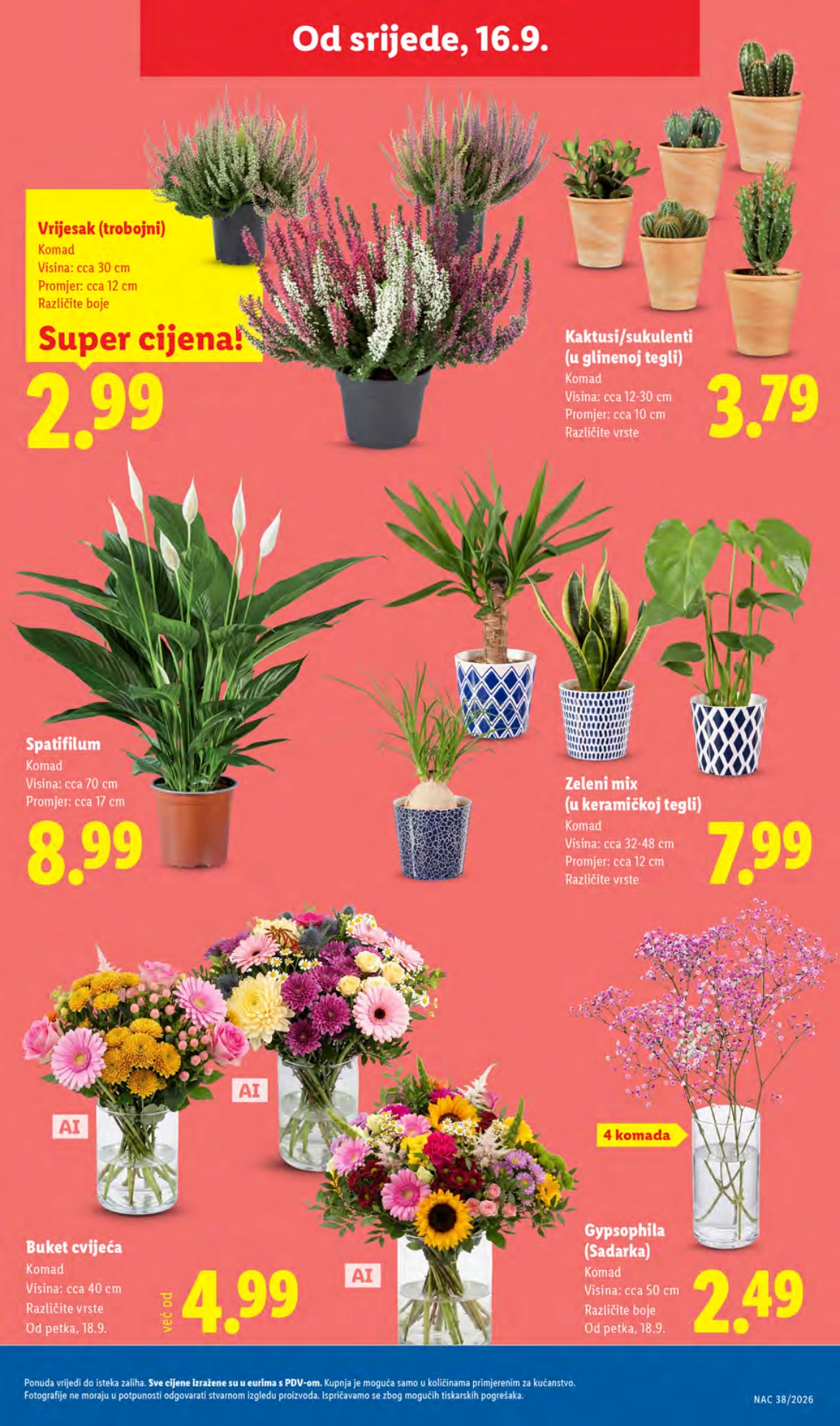 Flyer page 53