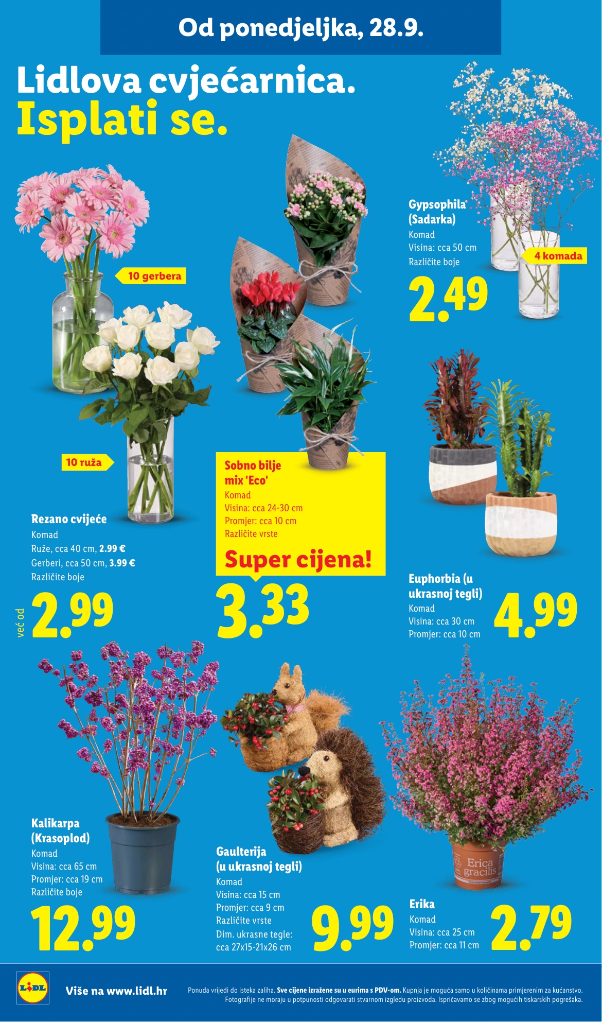 Flyer page 52
