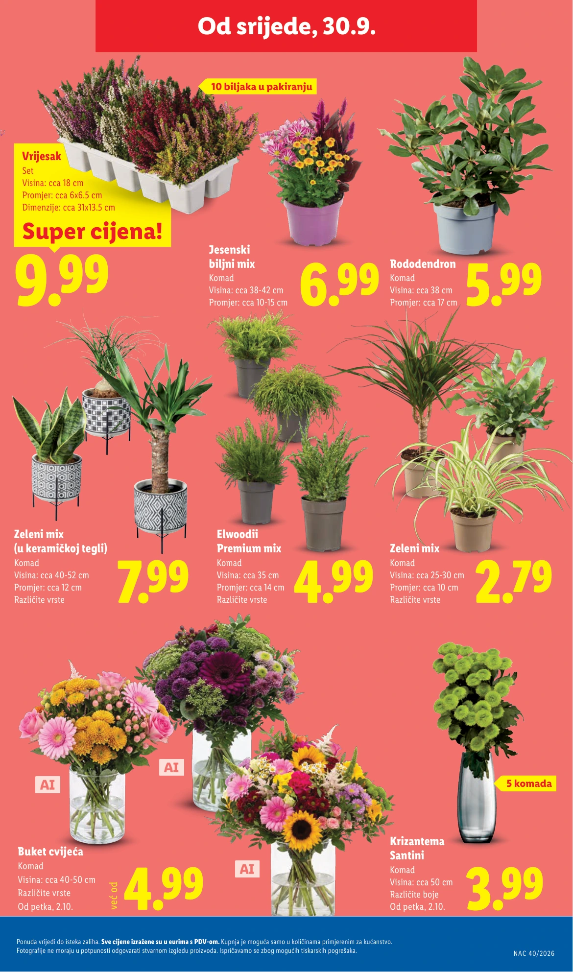 Flyer page 53