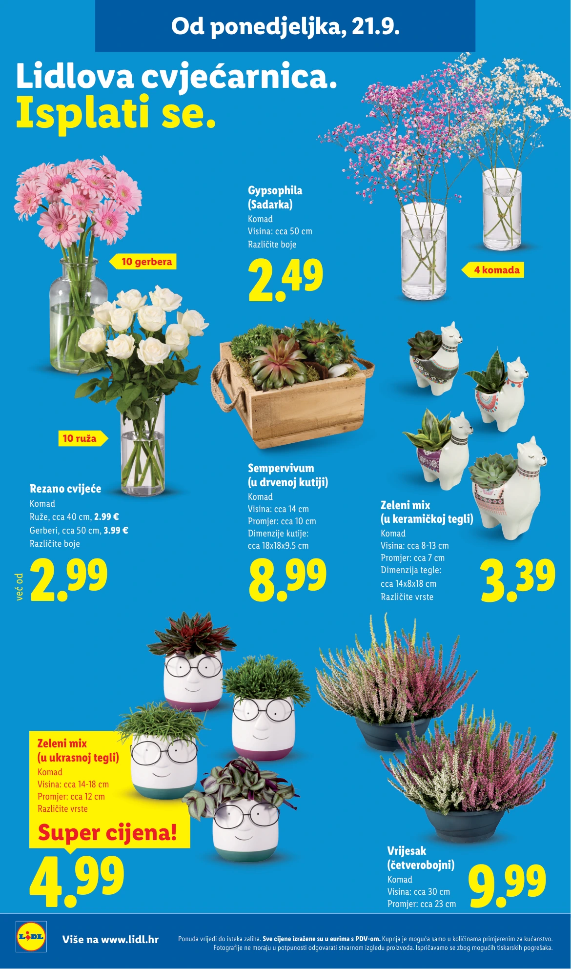 Flyer page 42