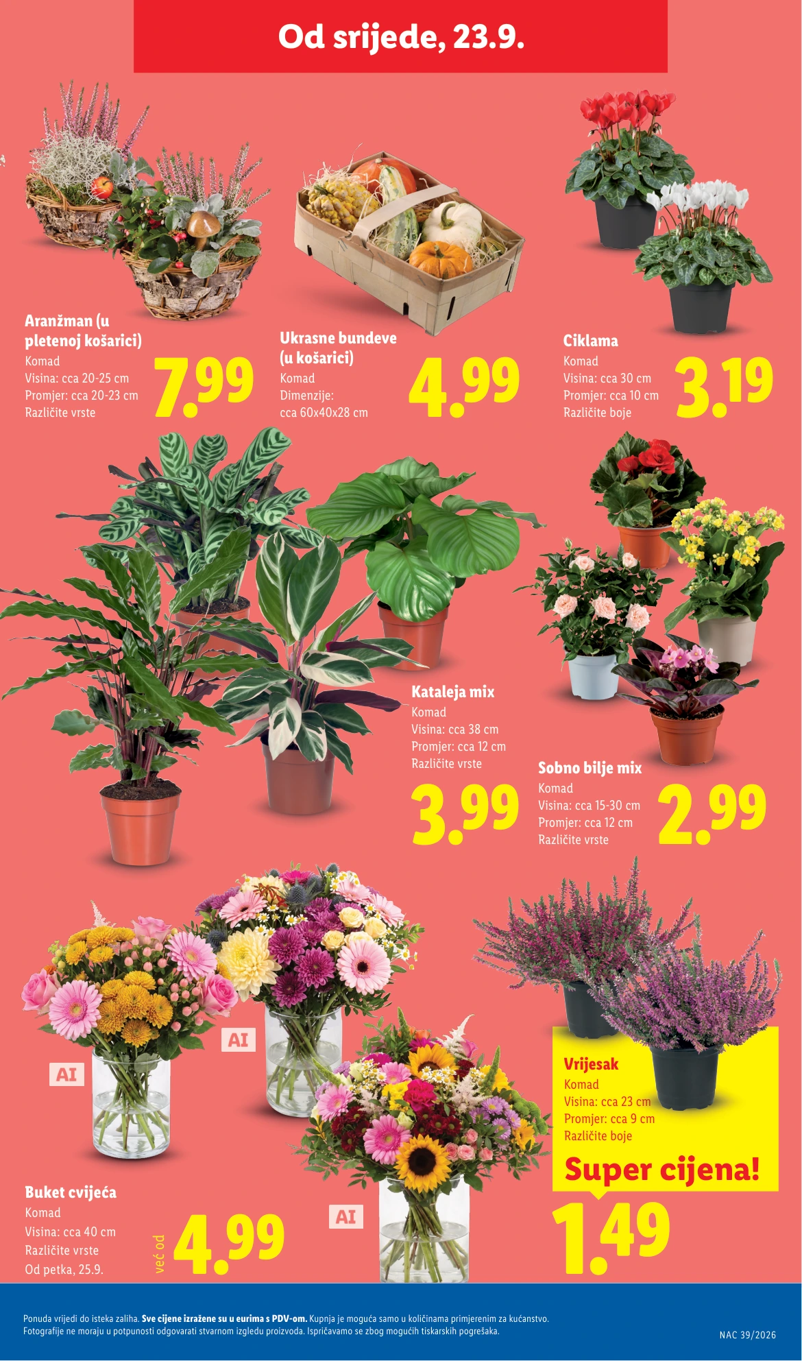Flyer page 43