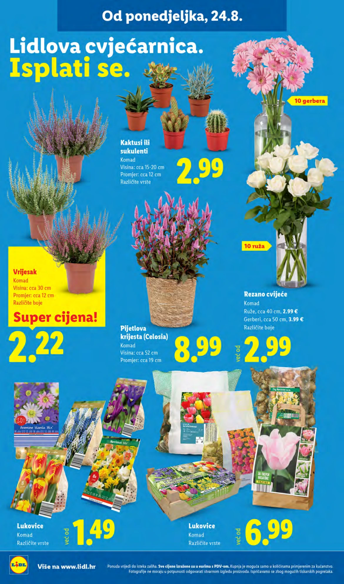 Flyer page 46
