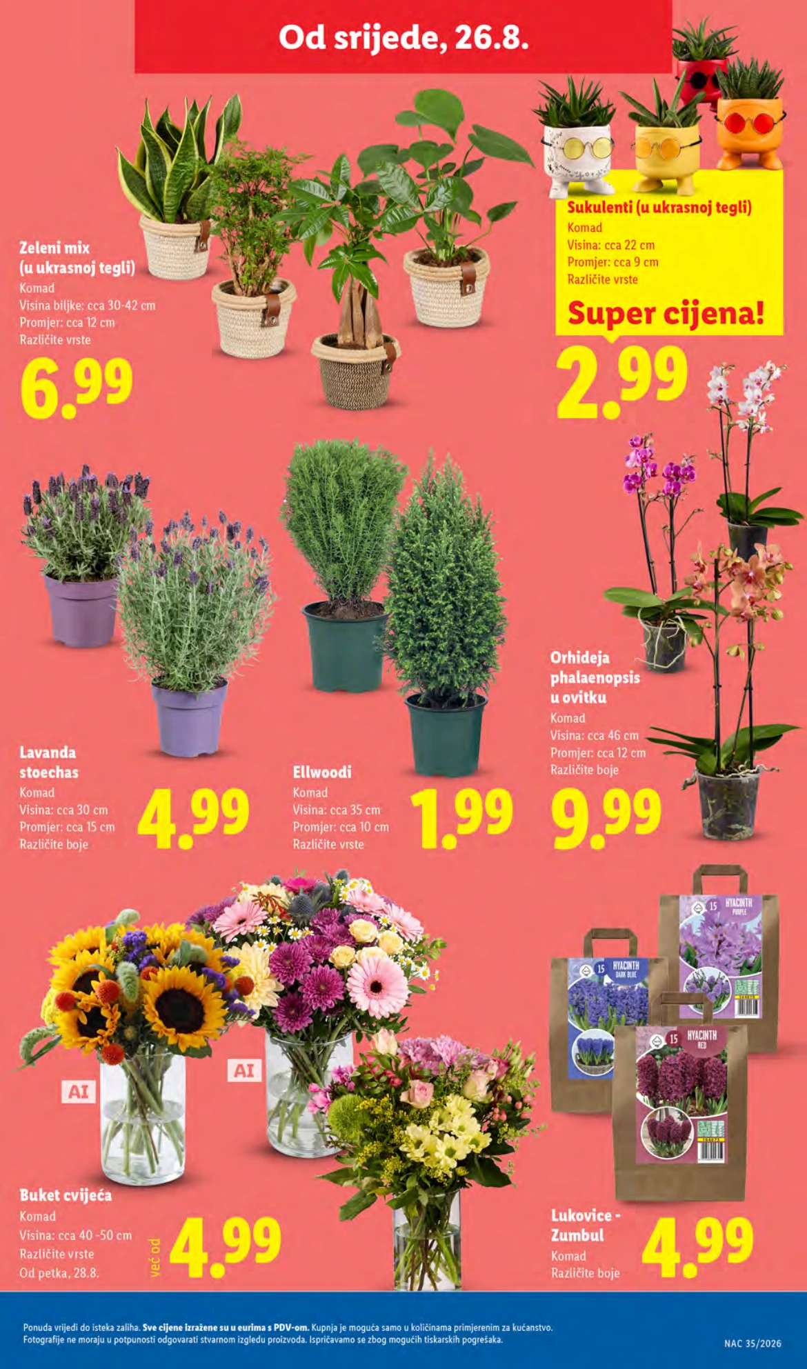 Flyer page 47