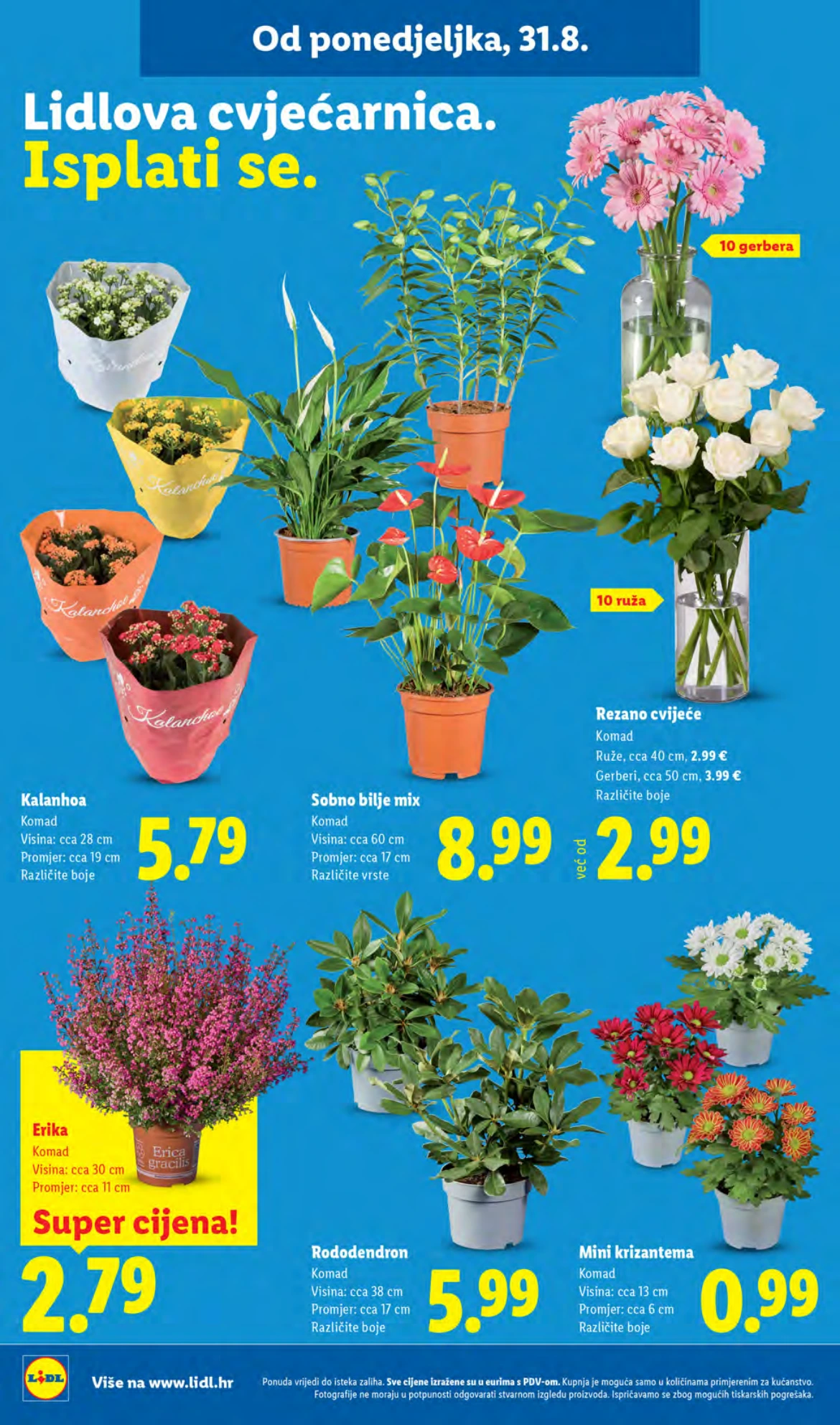 Flyer page 46