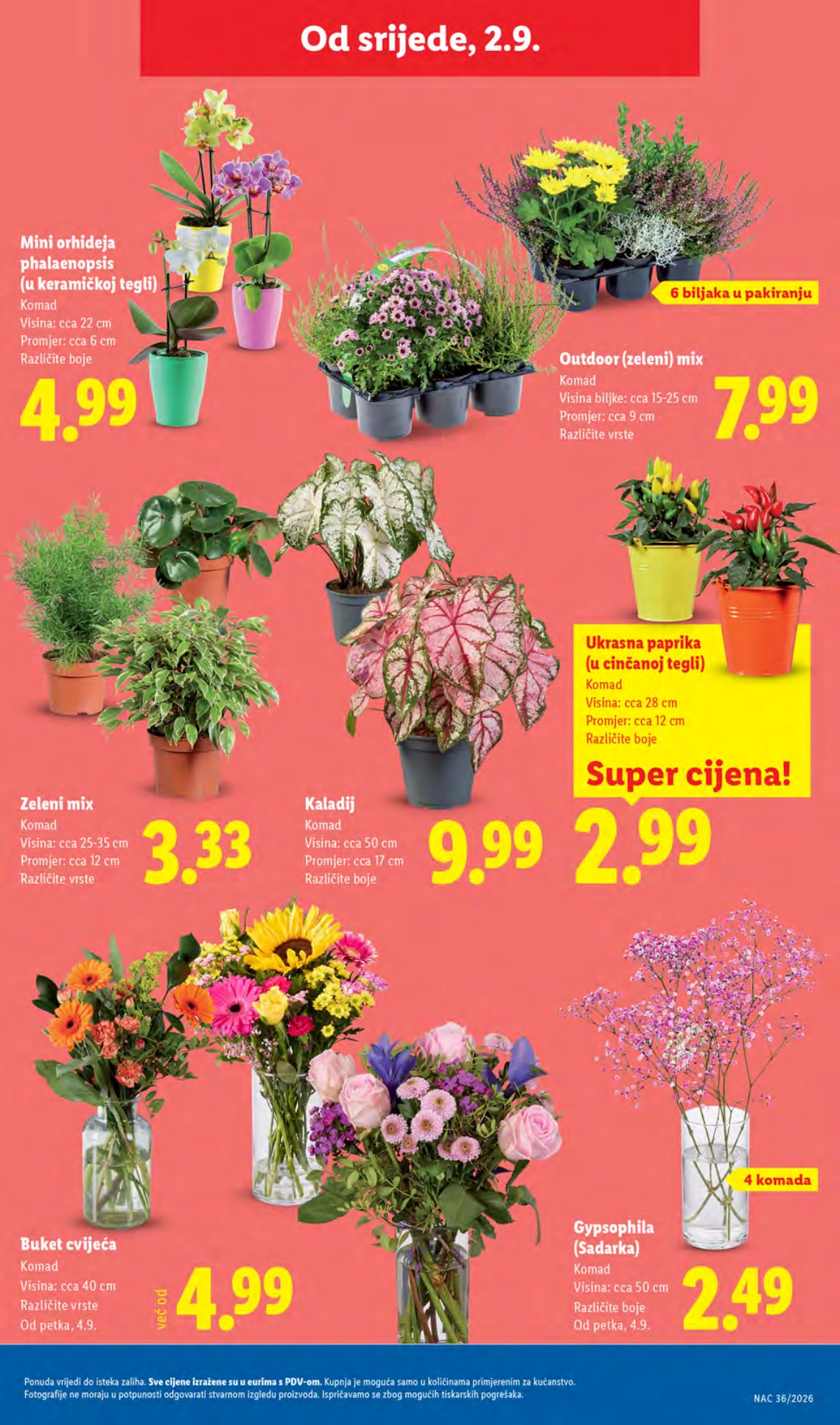 Flyer page 47