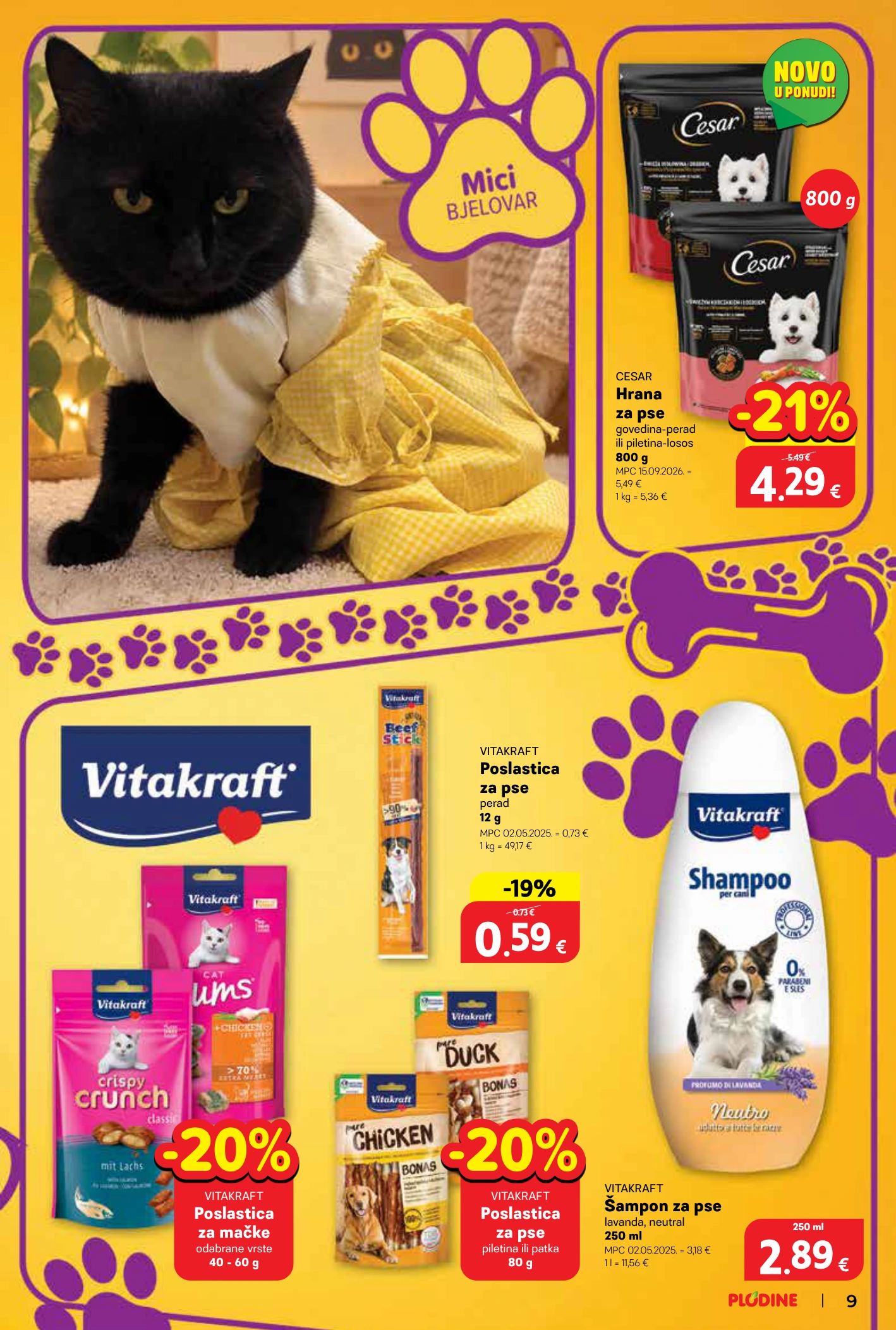 Flyer page 9