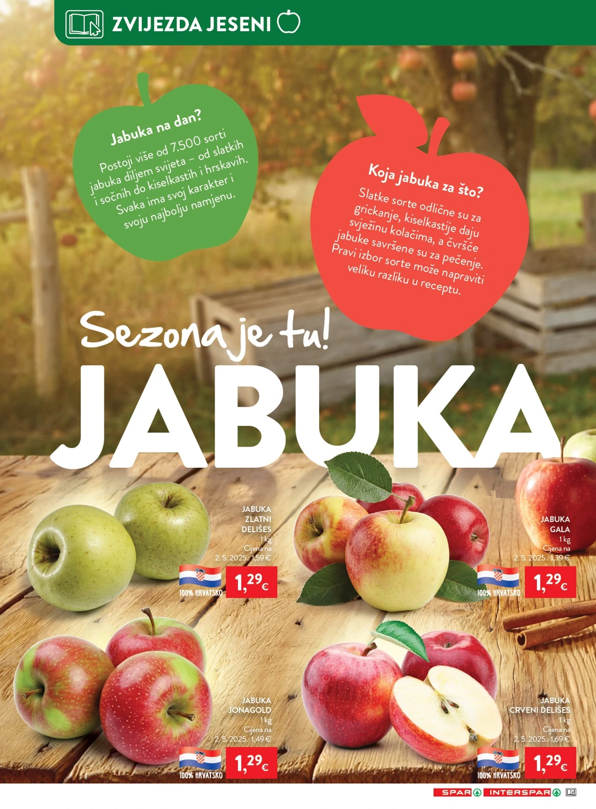 Flyer page 12