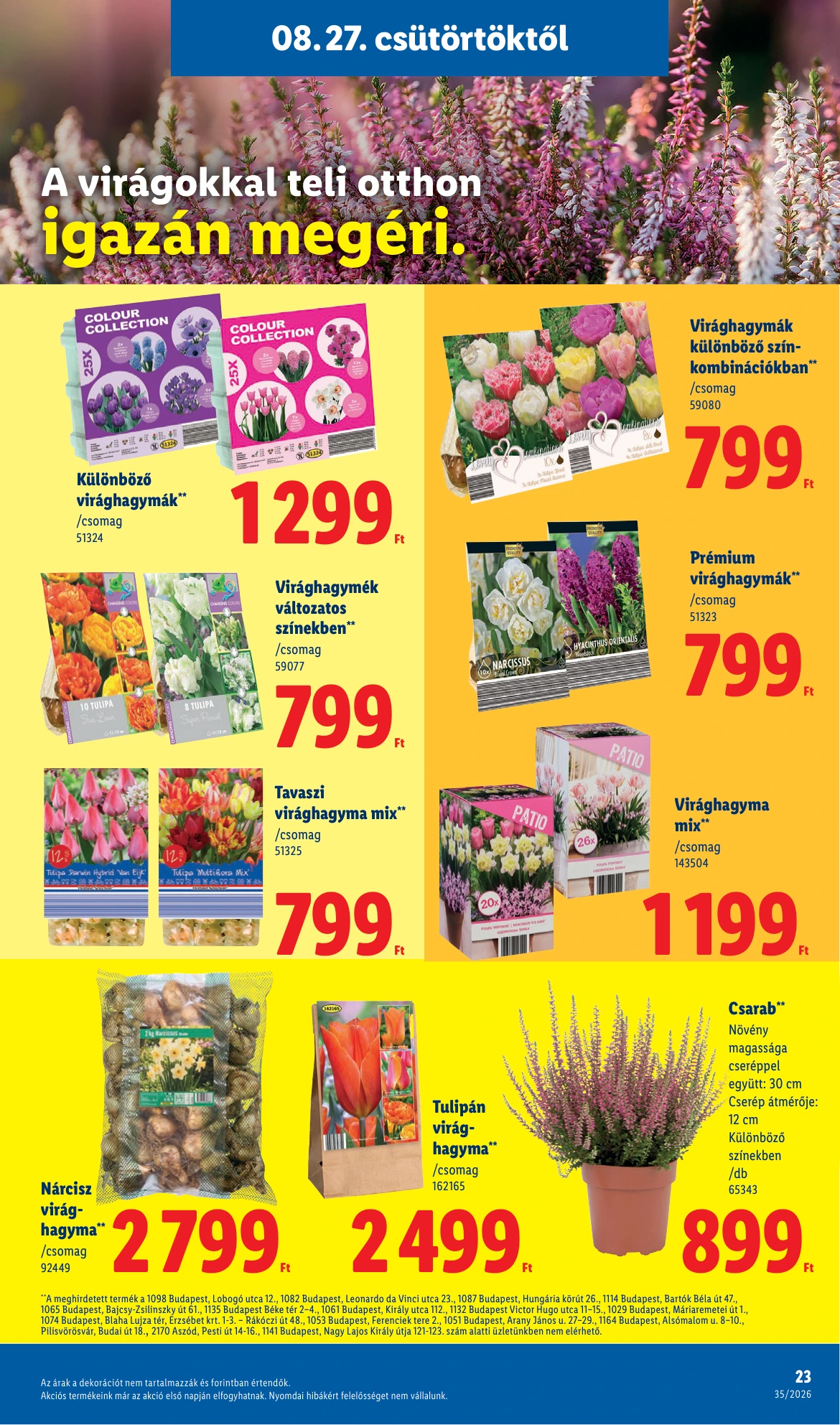 Flyer page 23