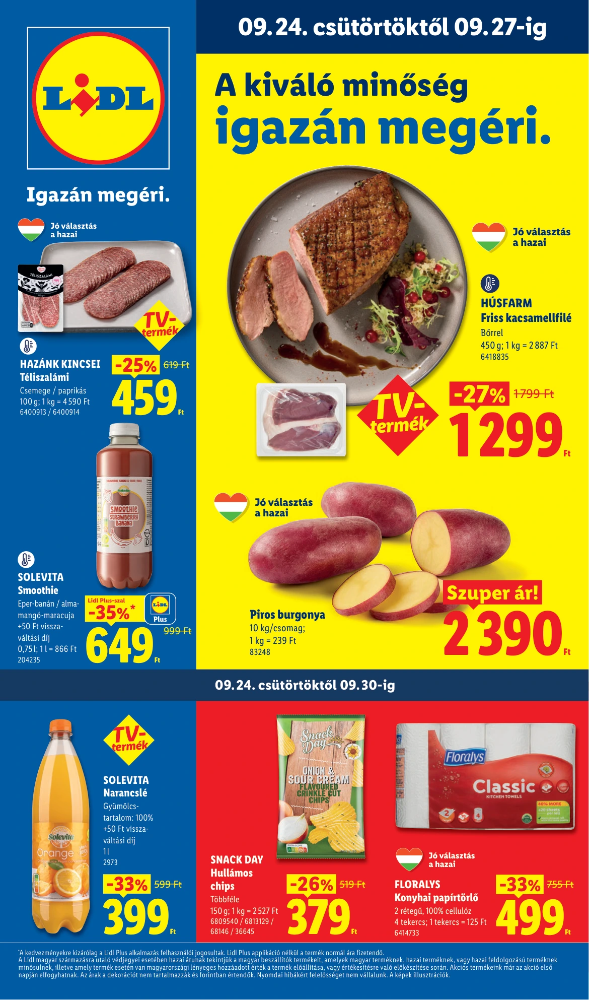 Flyer page 1
