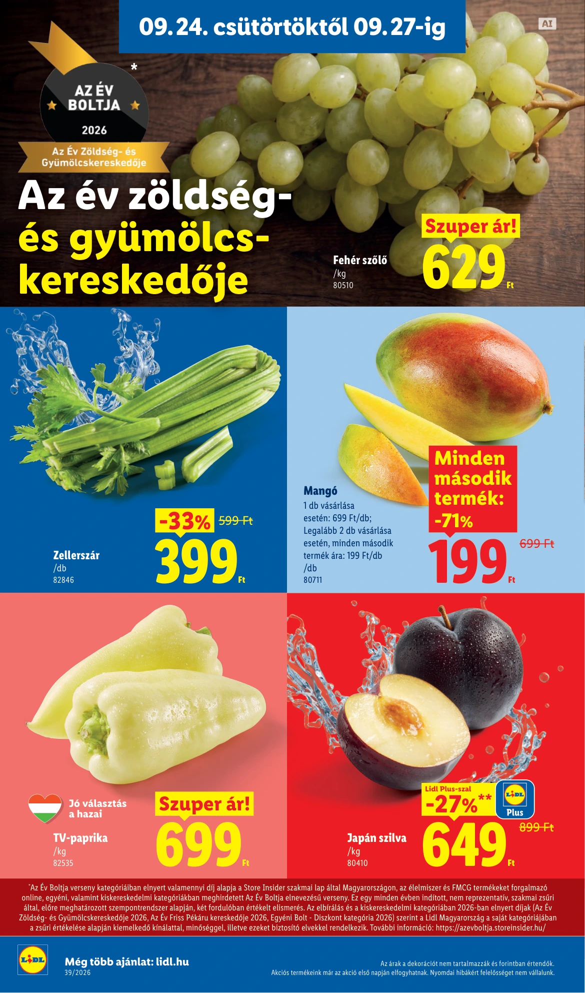 Flyer page 2